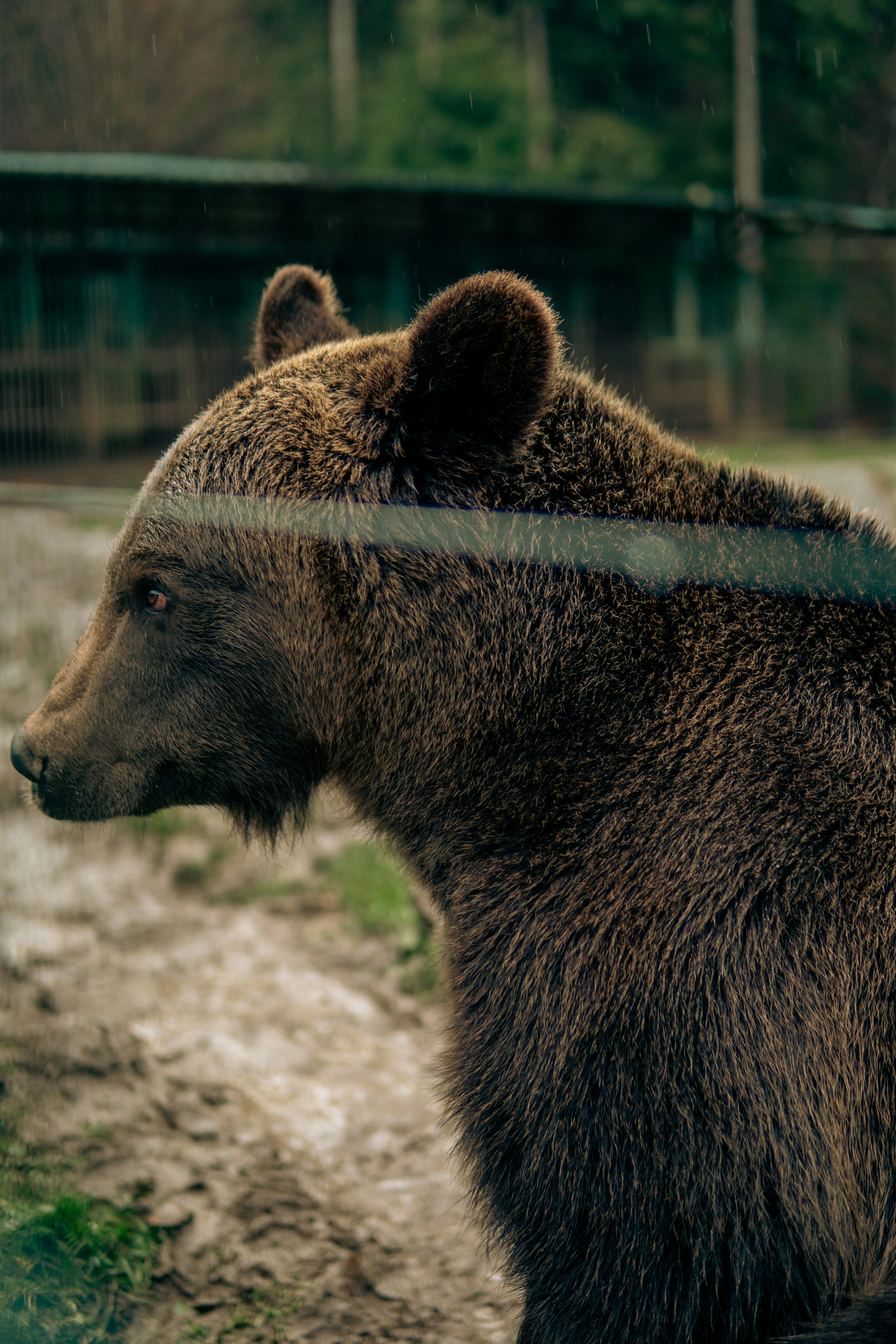 Photo by rostyslav_nabok