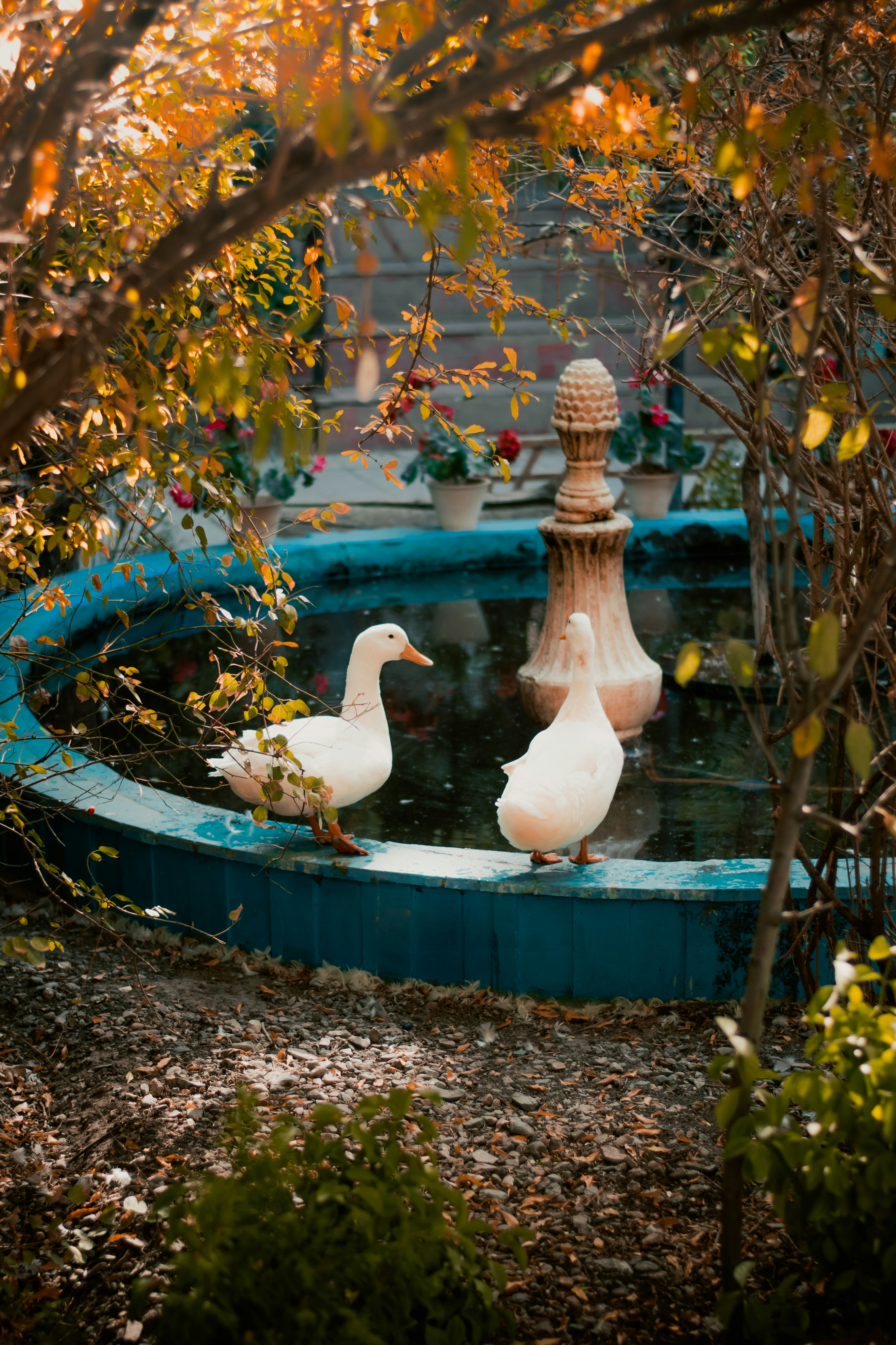 Photo by ilostmyselfout