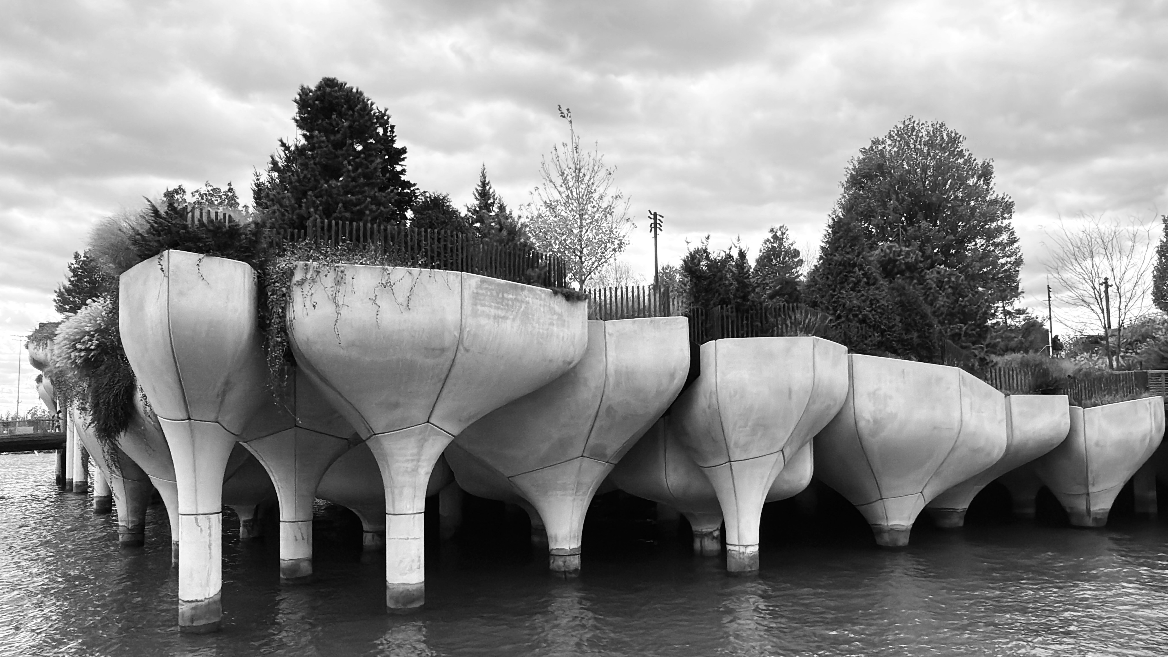 Unique concrete structures with greenery on water