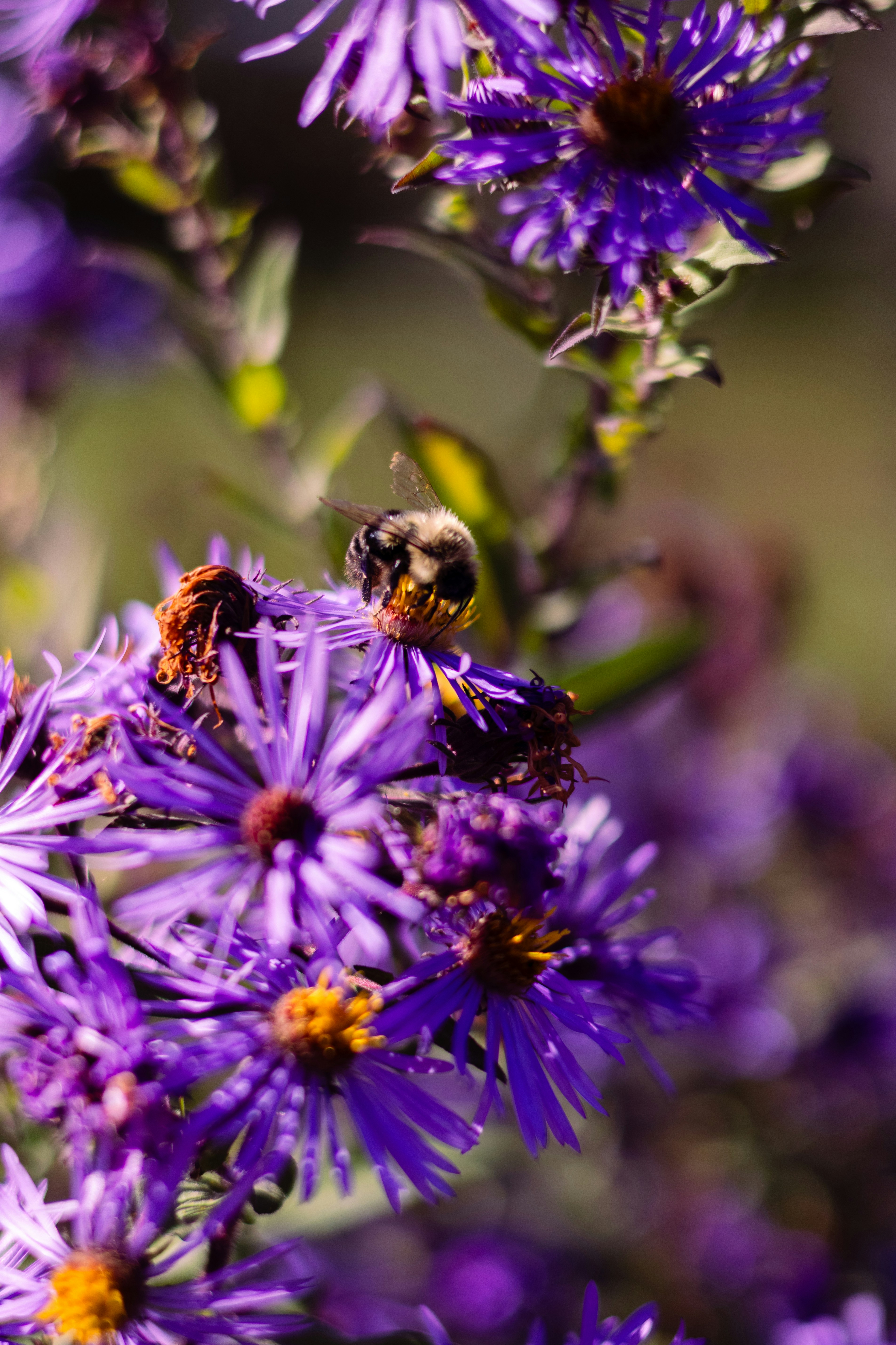 Photo by oli_photographie