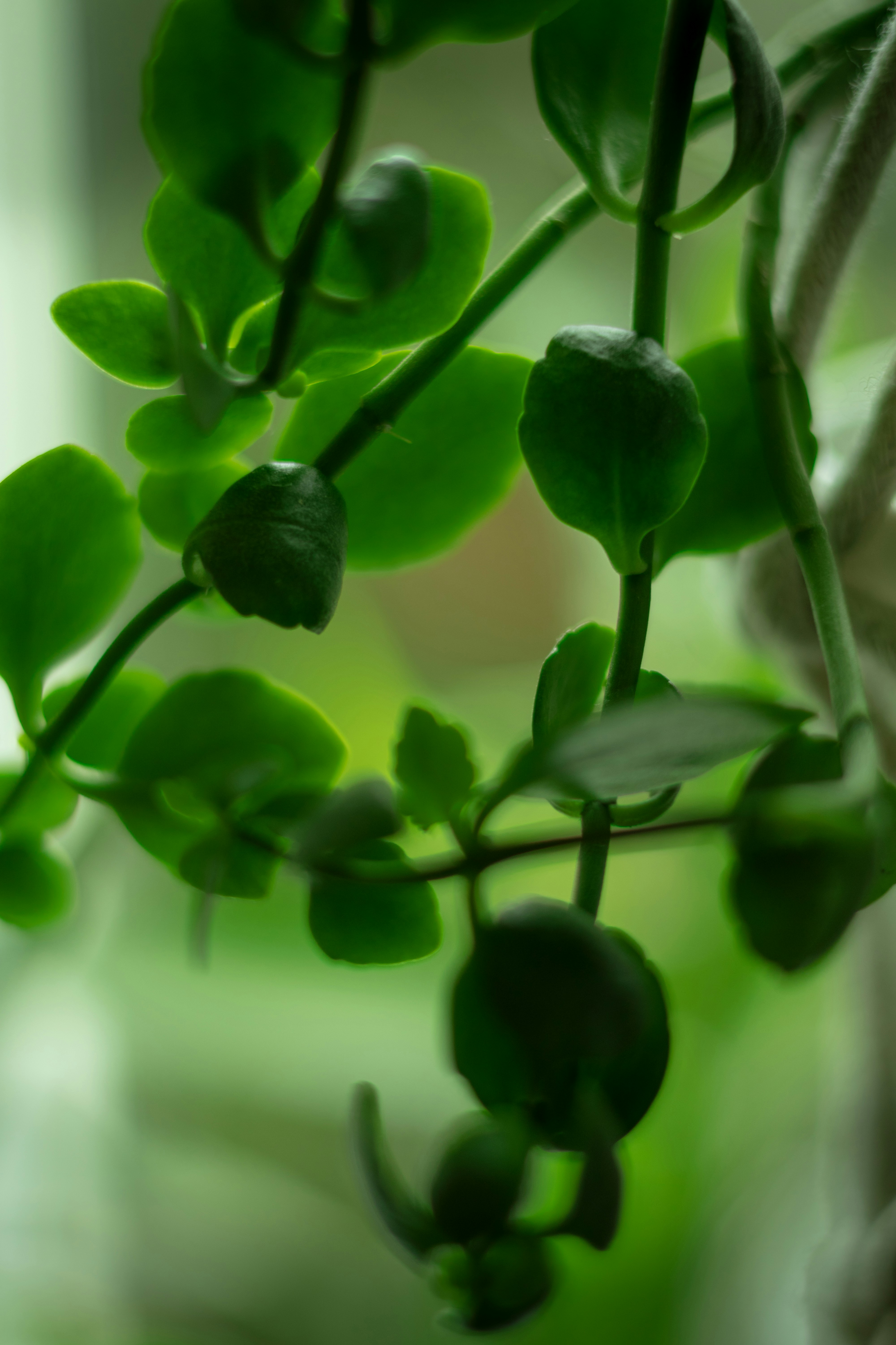 Photo by oli_photographie