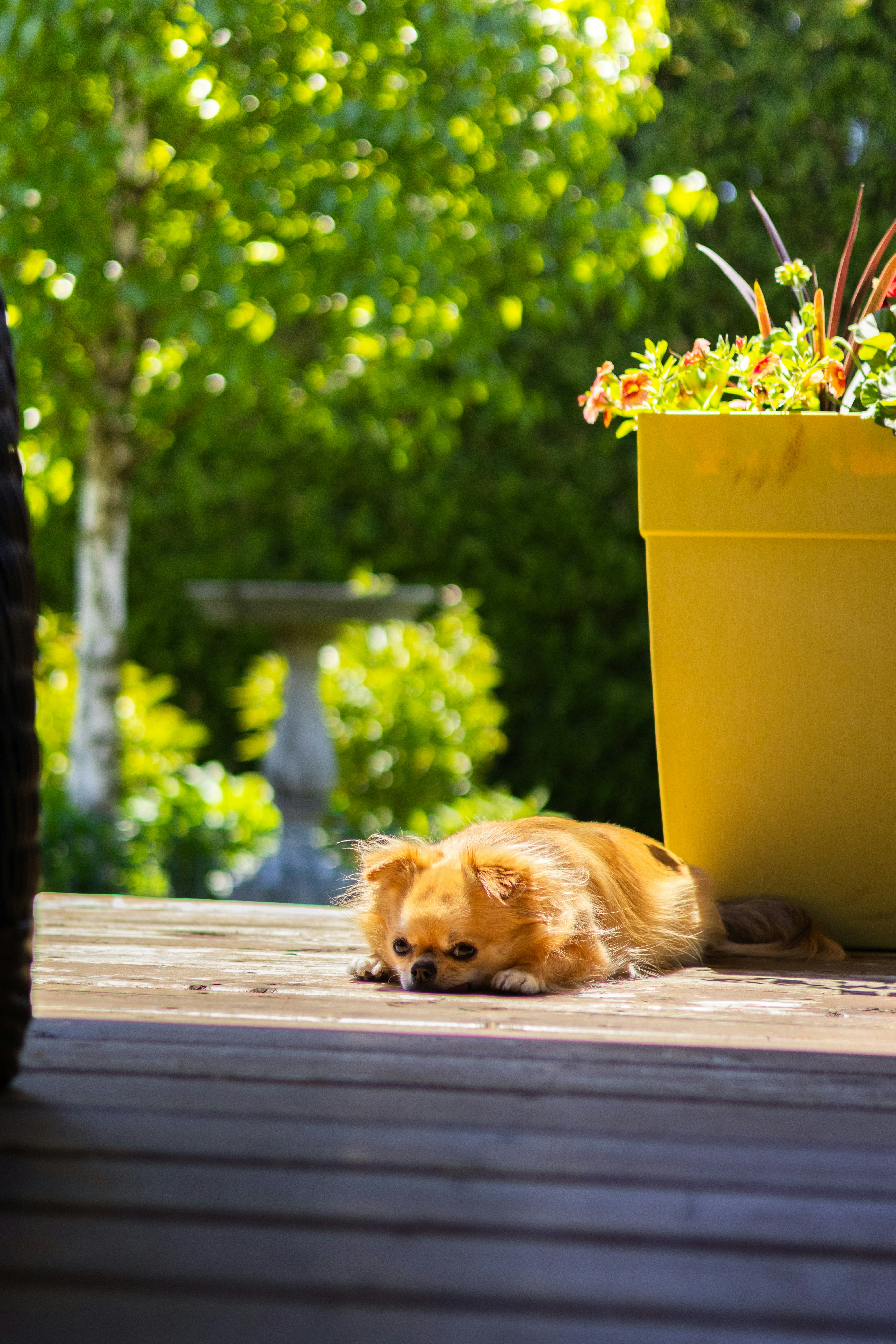 Photo by oli_photographie