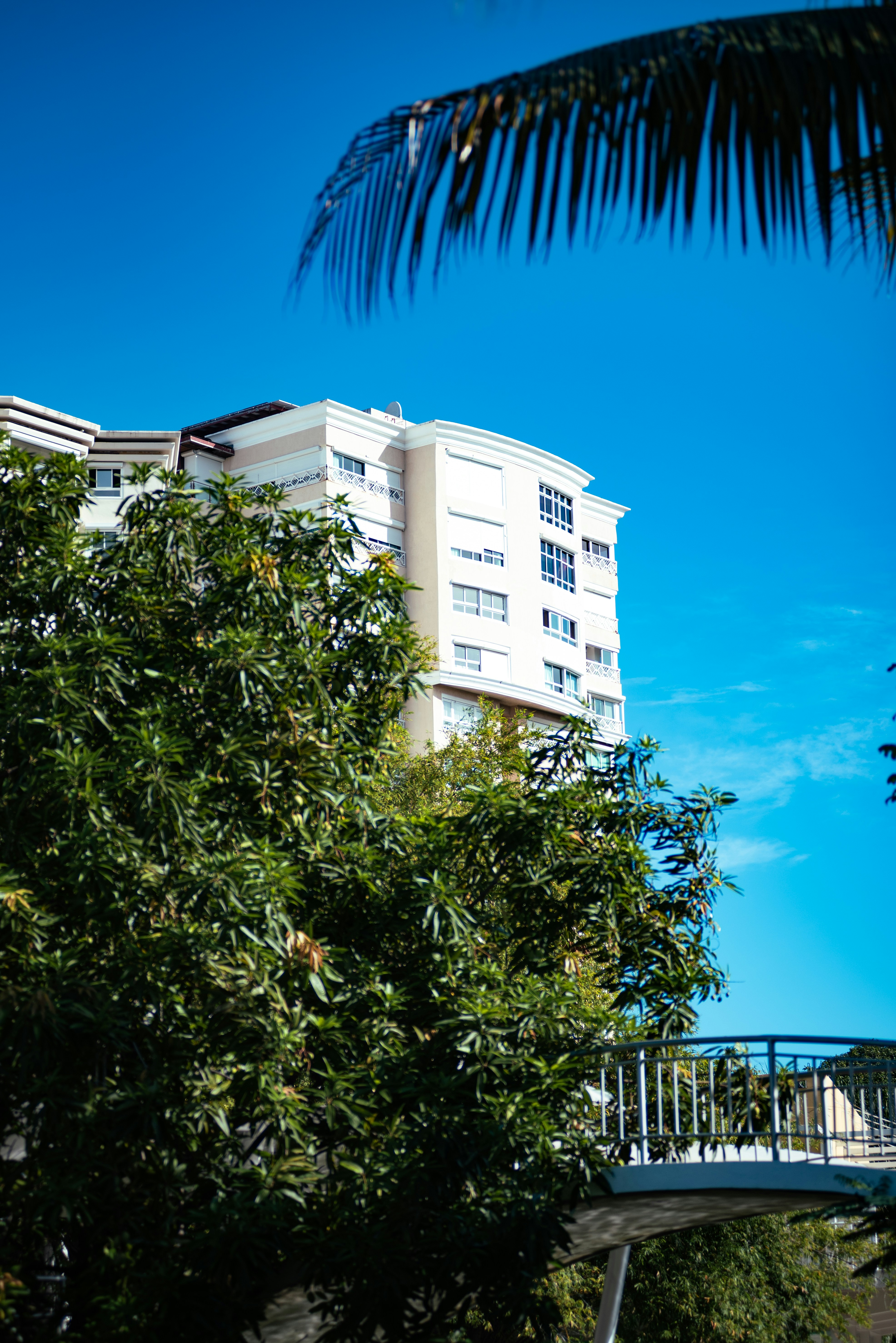 Modern apartment building surrounded by lush green trees.