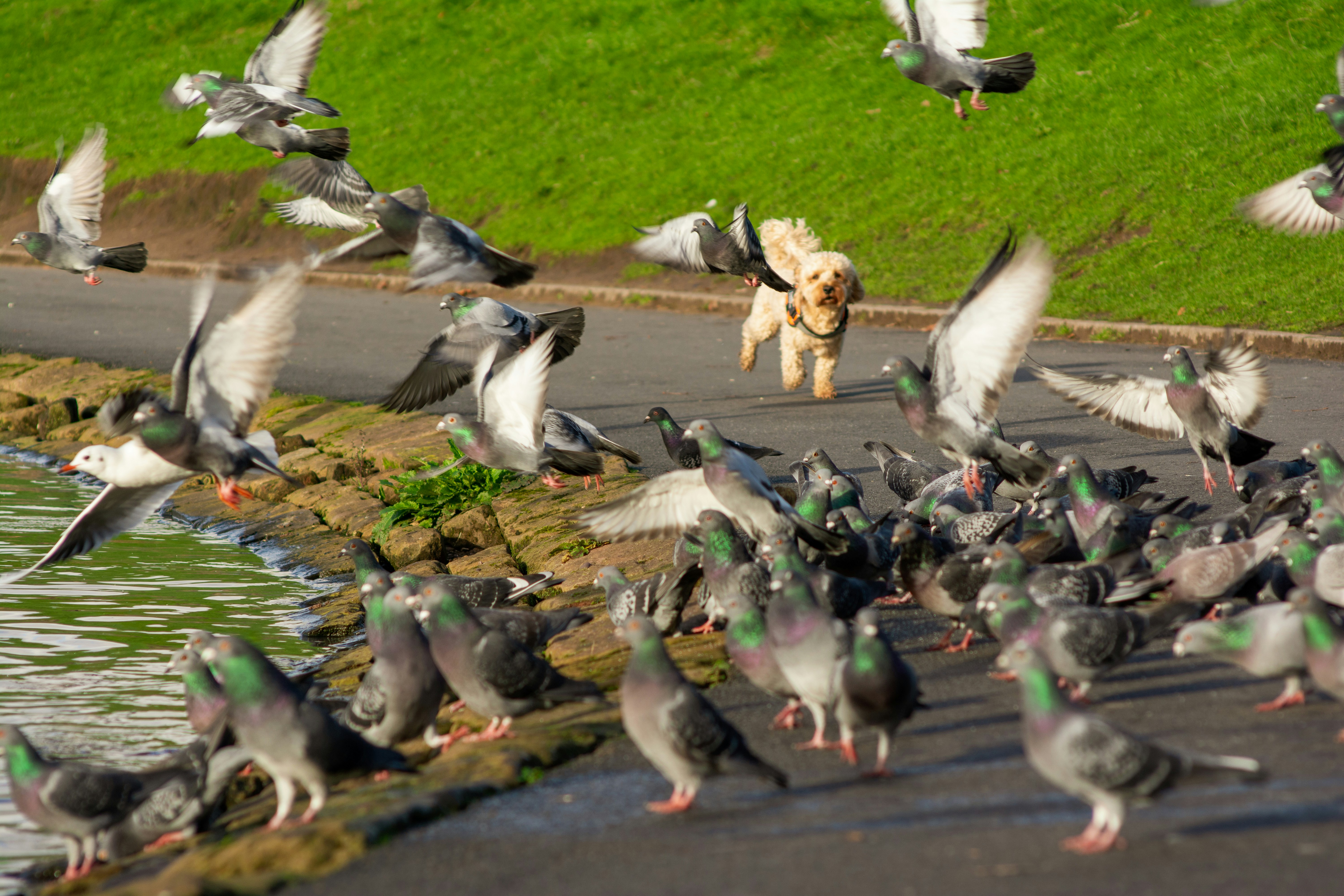 Photo by alexdavidphotos