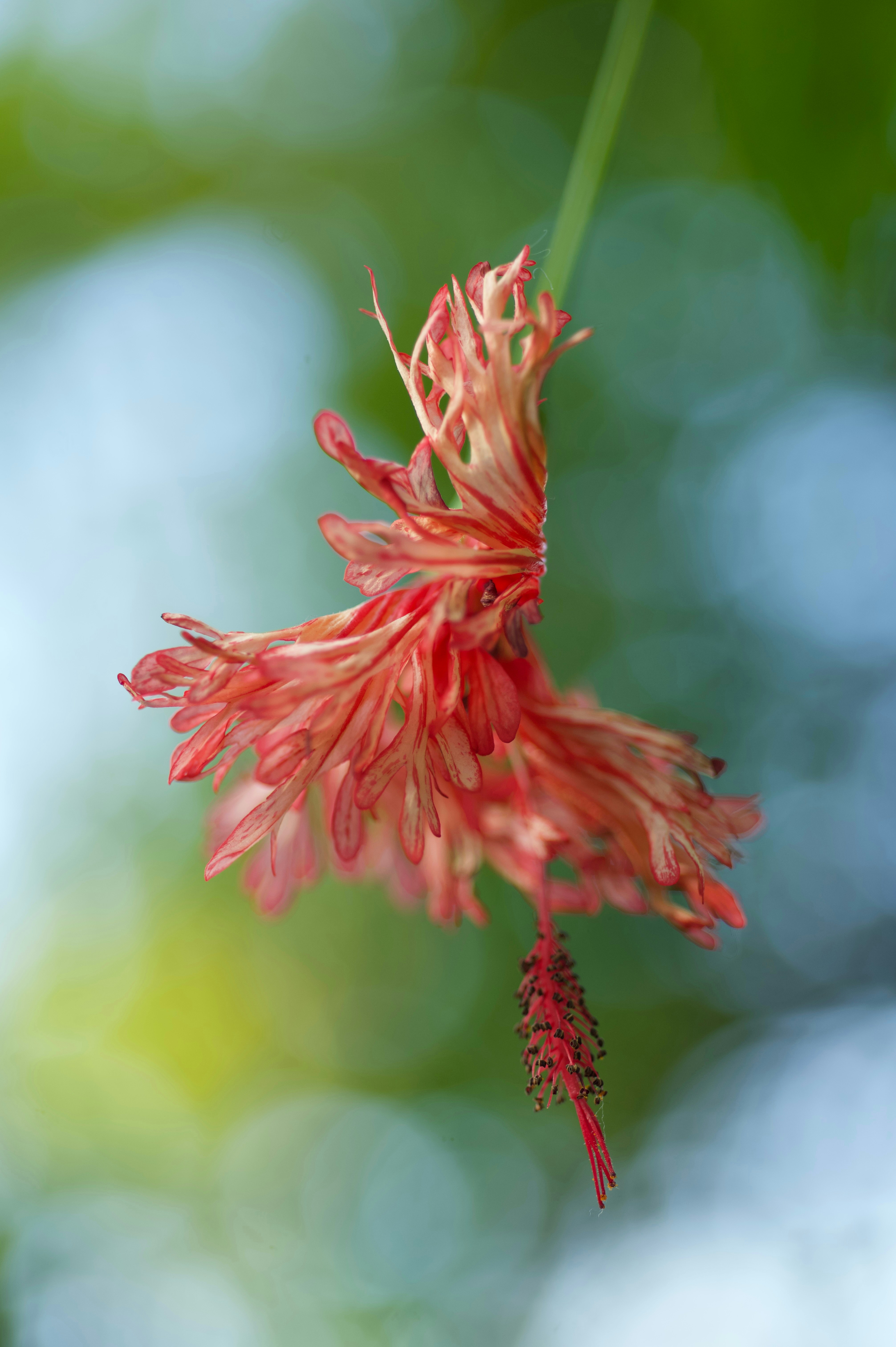 Photo by shot_by_cooper