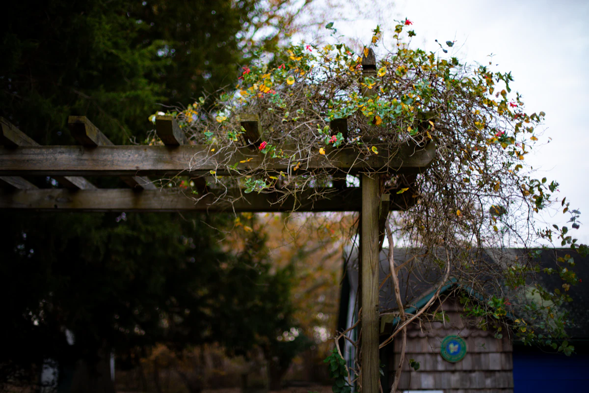 Classic Wood Pergola
