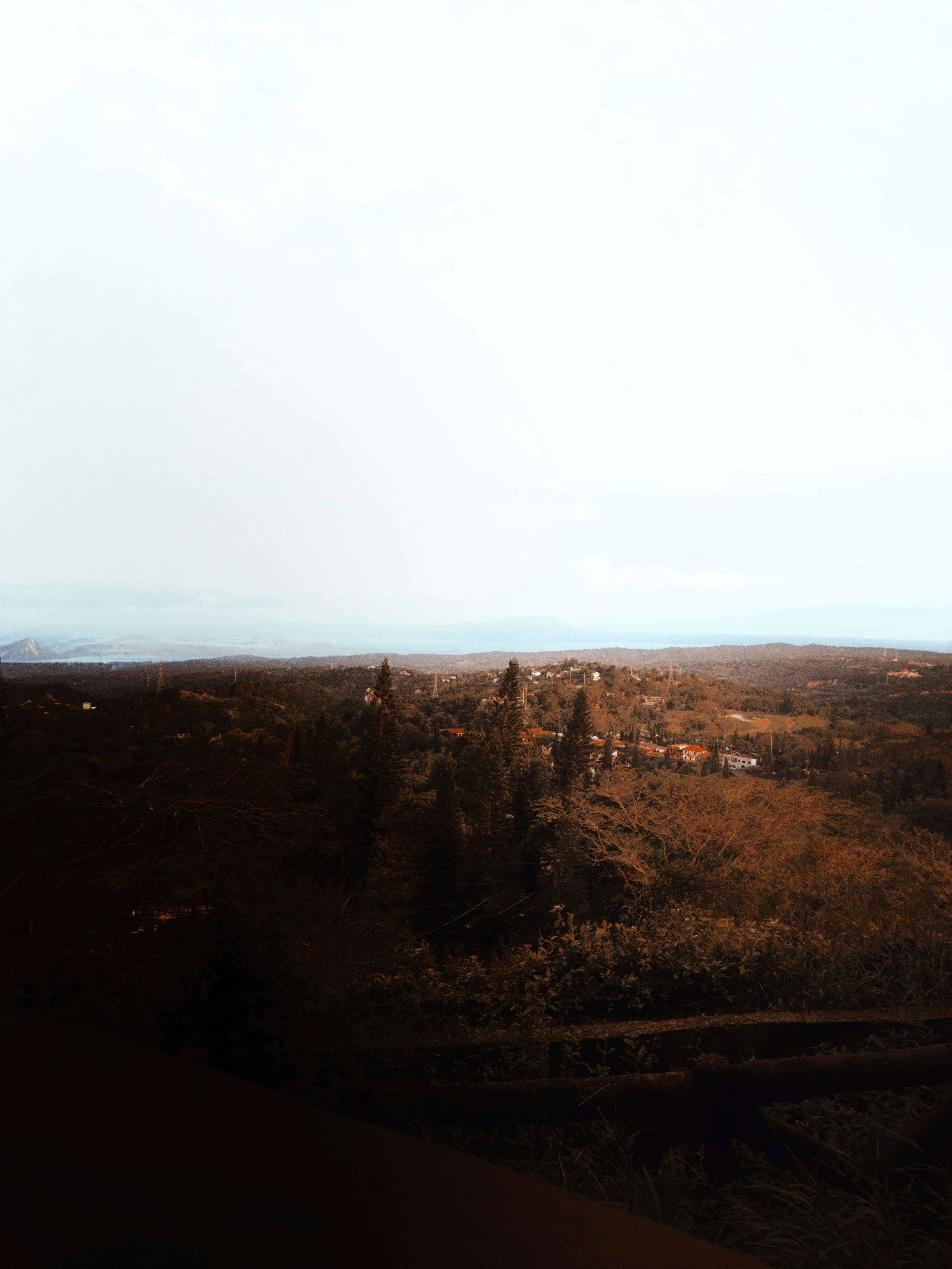 Overhead view of a rural landscape with trees and houses.
