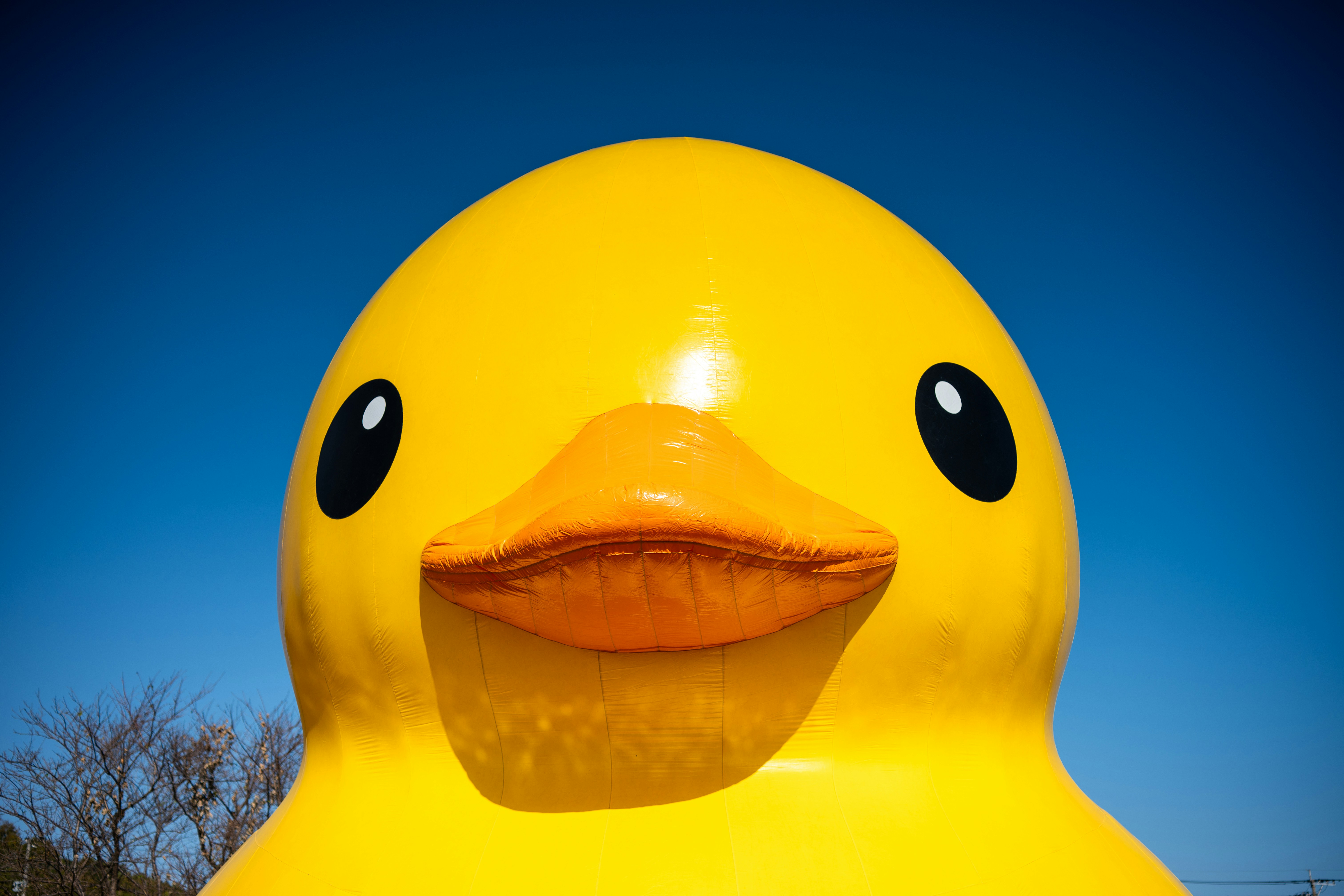 A giant yellow rubber duck against a blue sky.