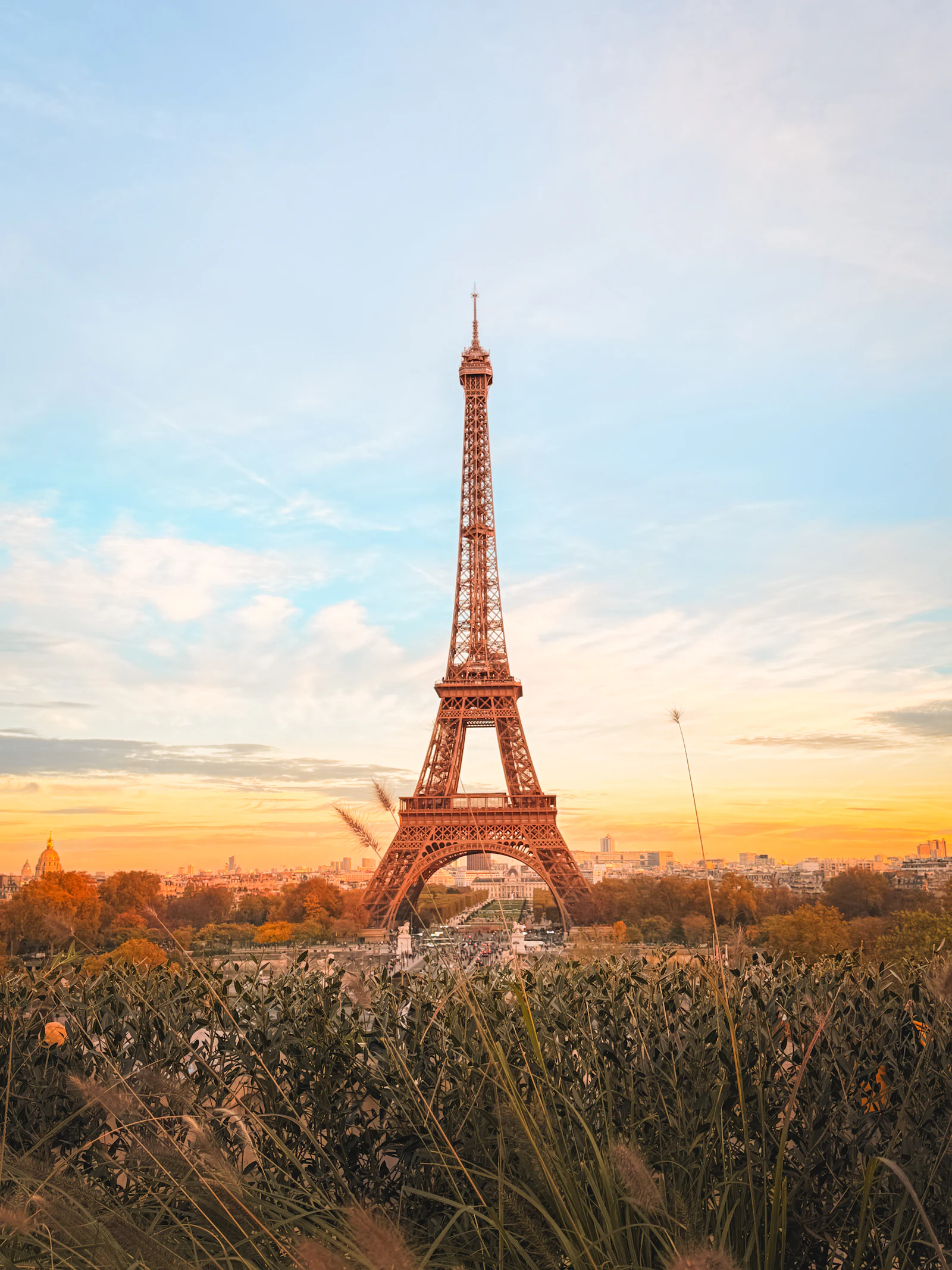 Eiffel Tower at sunset seen across tall grass, a favourite photo stop for travellers in Paris