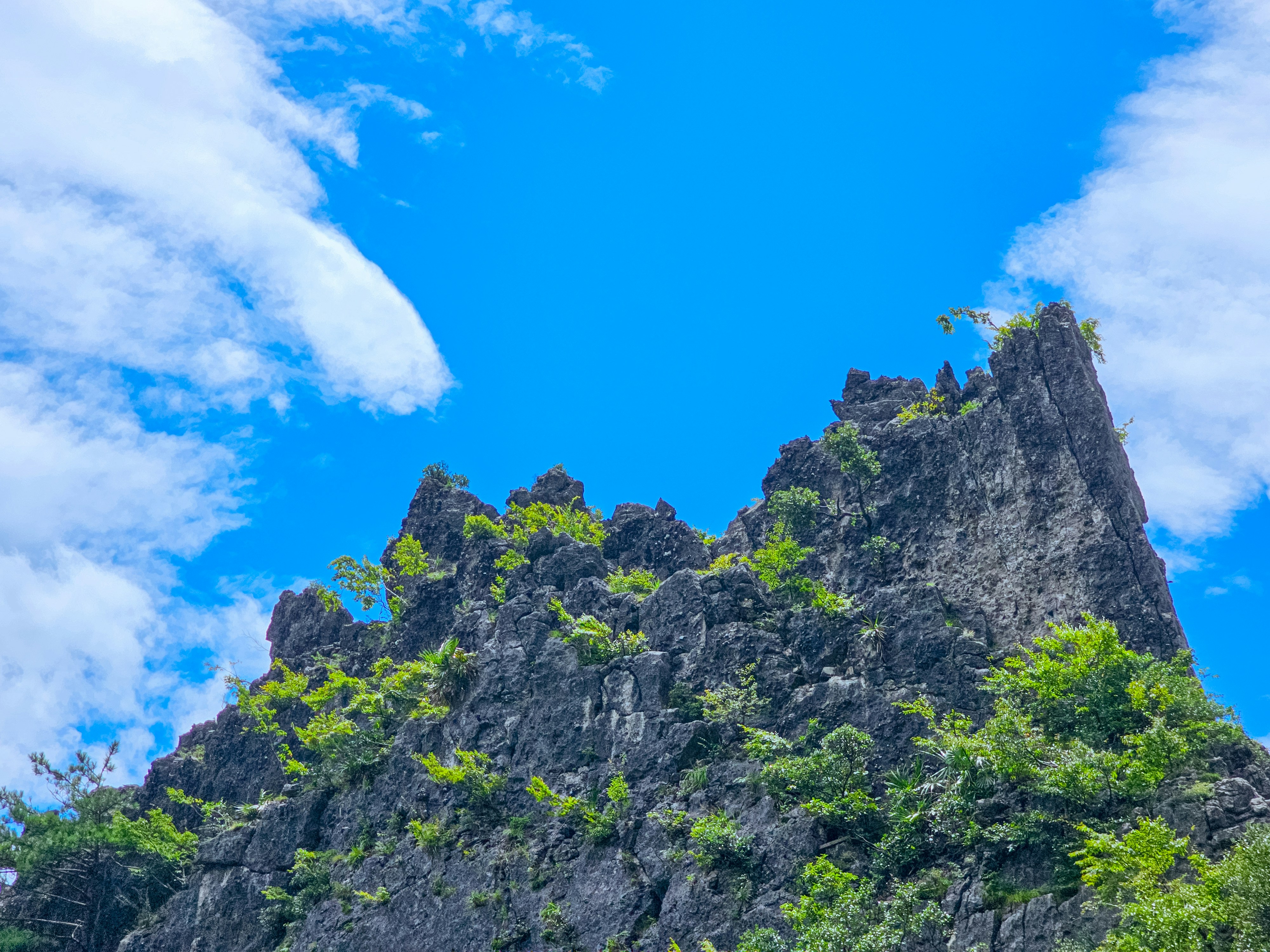 Photo by hypocriteeeee