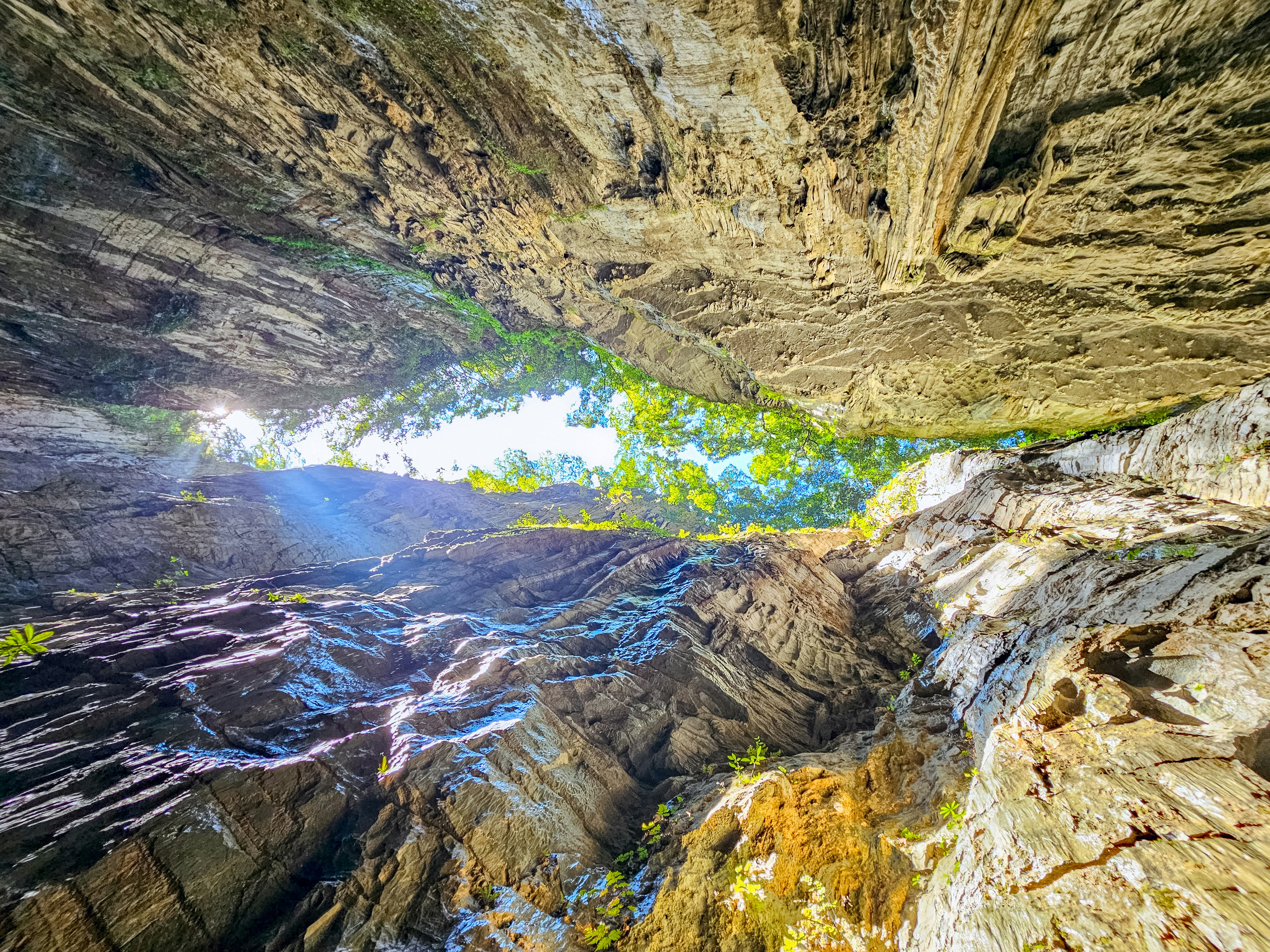 Looking up from inside a rocky cave towards green trees