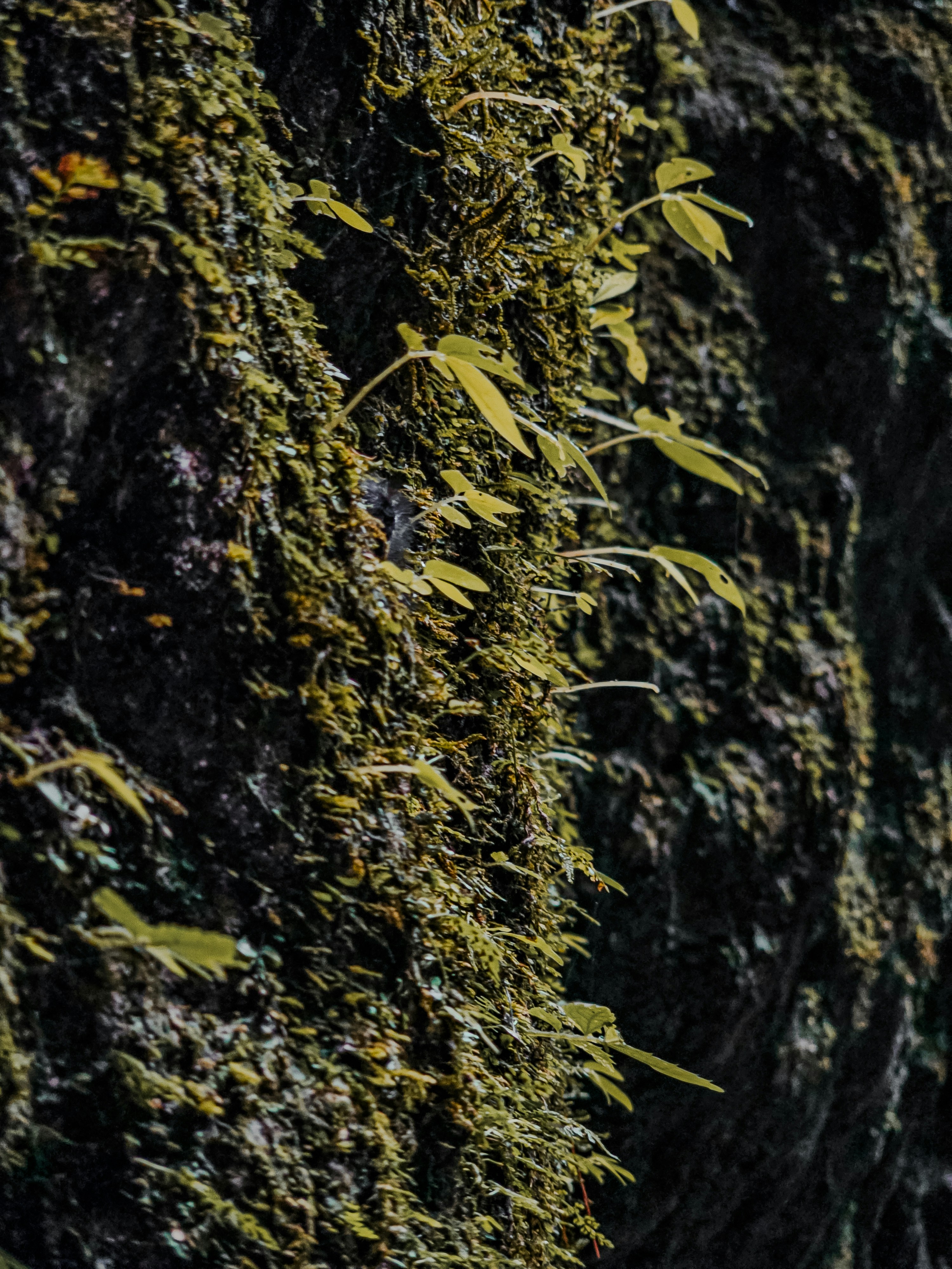 Photo by hypocriteeeee