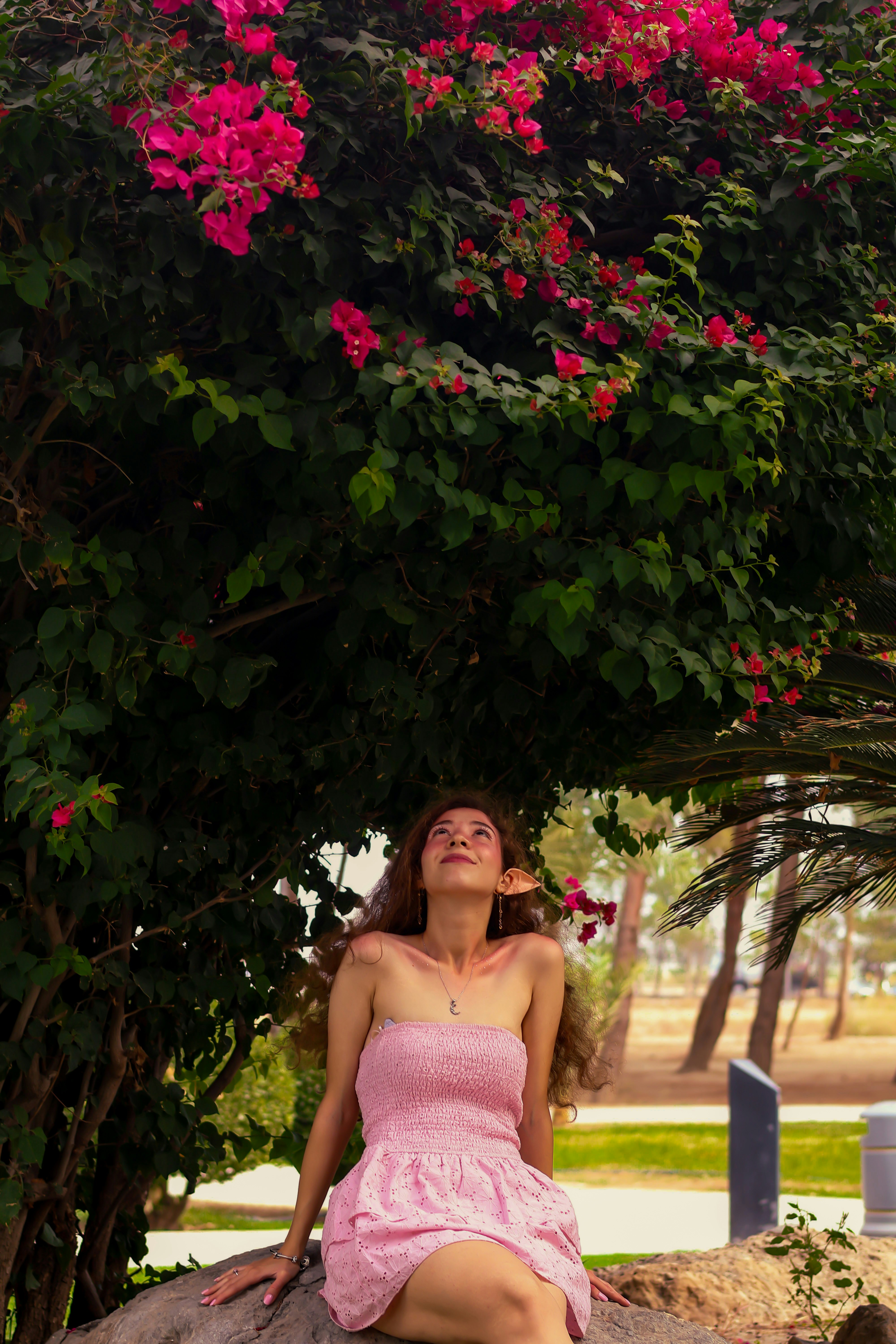 Woman in pink dress under blooming tree