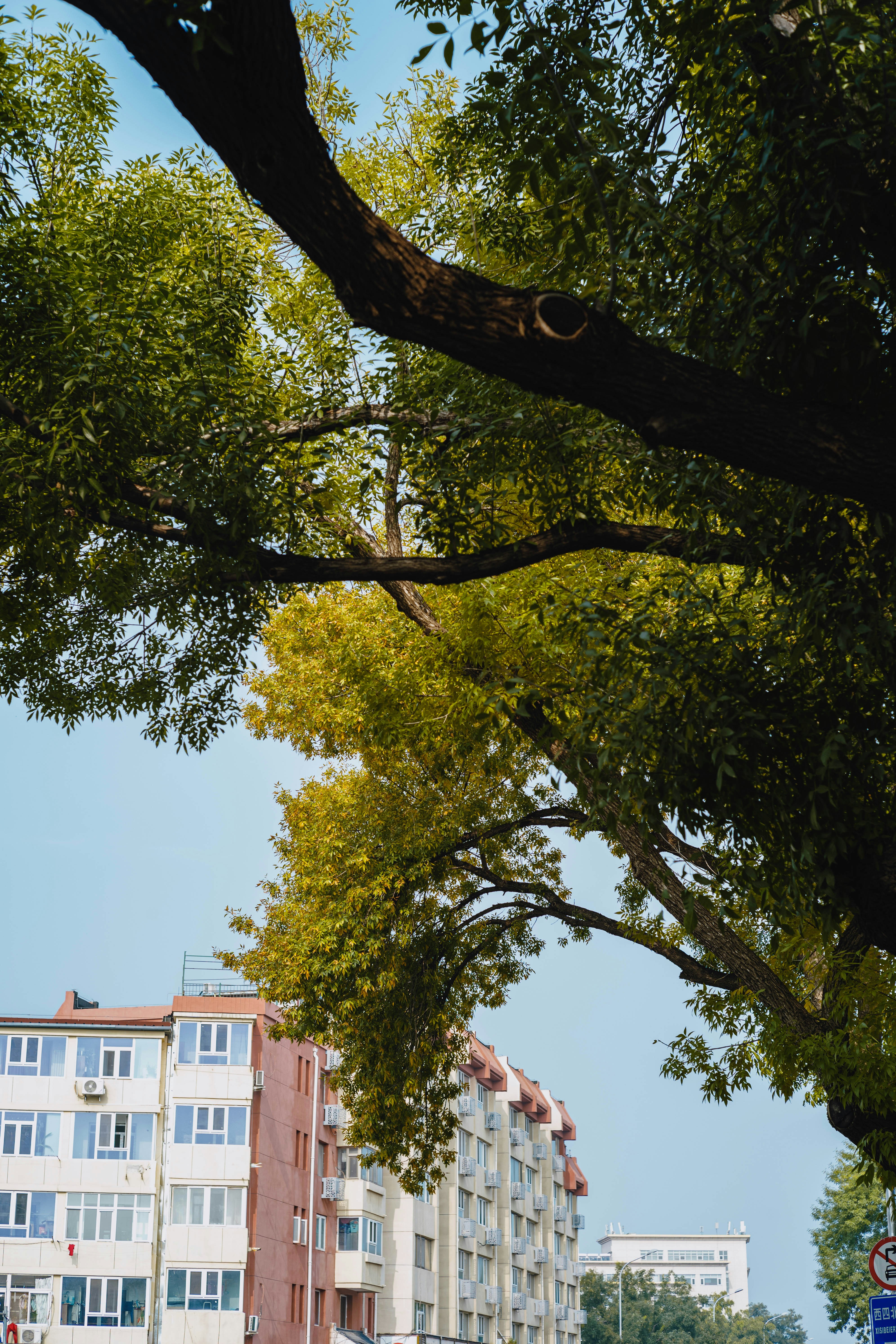 Photo by tommaomaoer