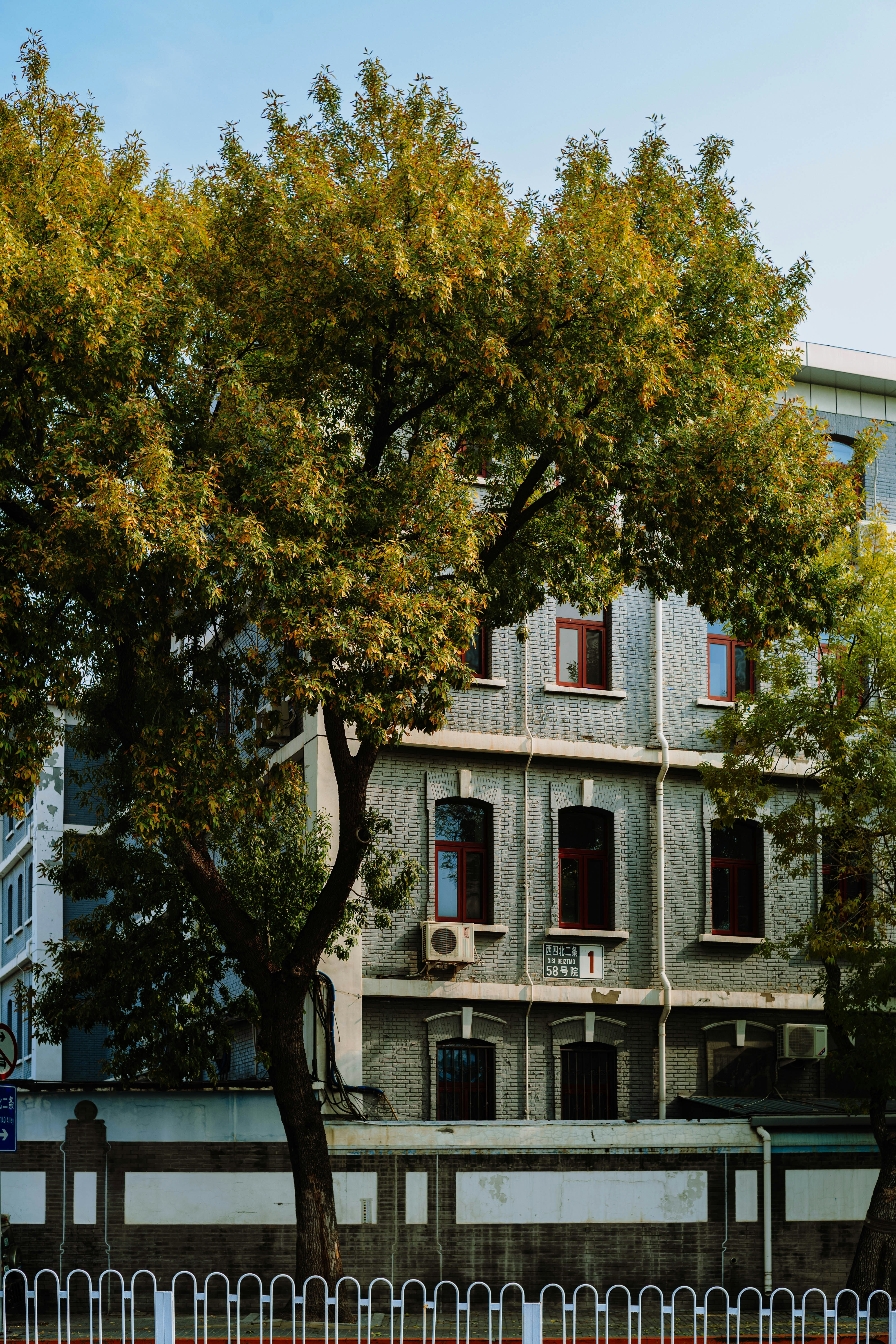 Photo by tommaomaoer