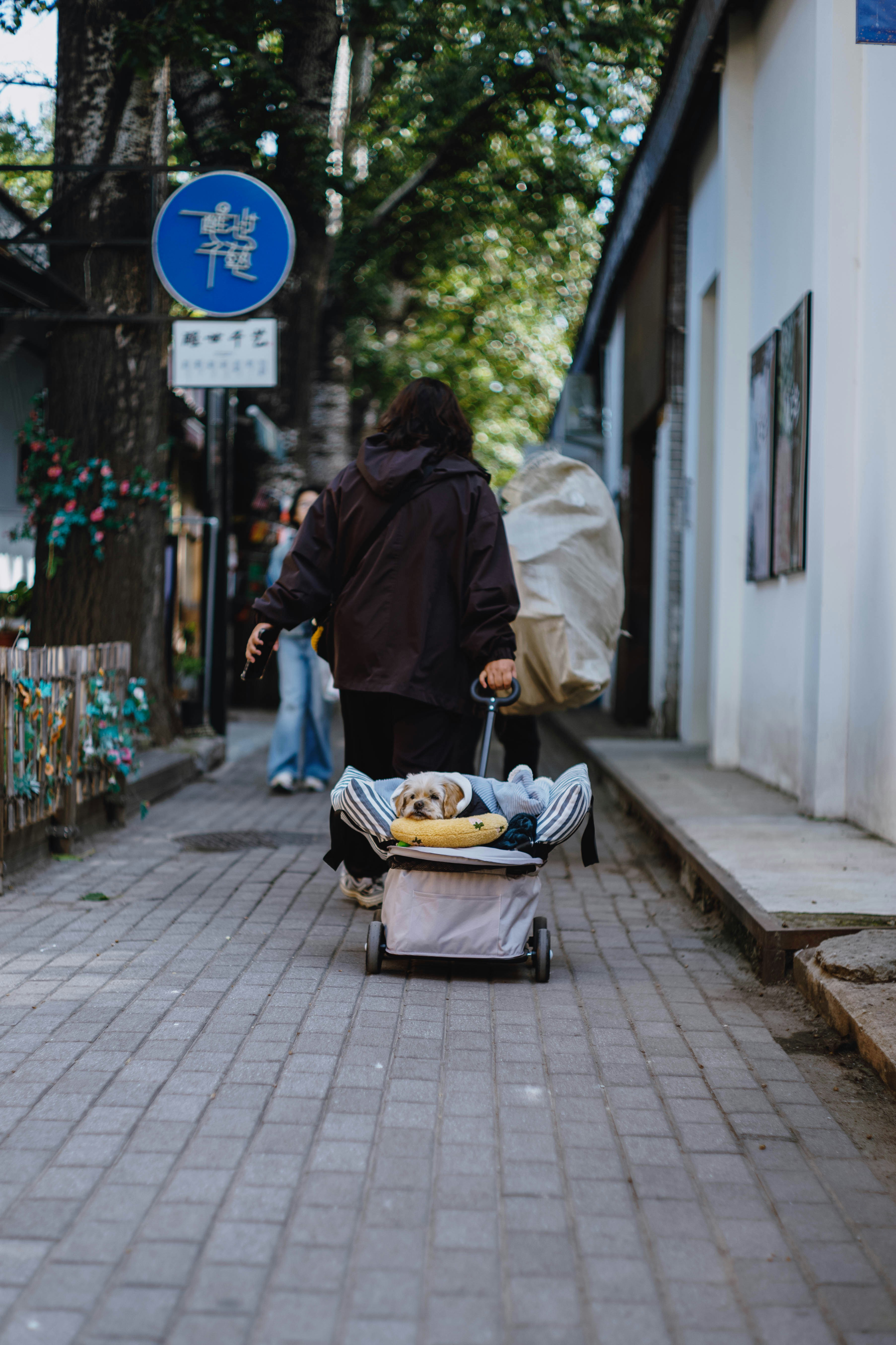 Photo by tommaomaoer