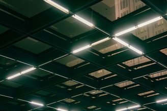 Fluorescent lights illuminate a dark ceiling grid.