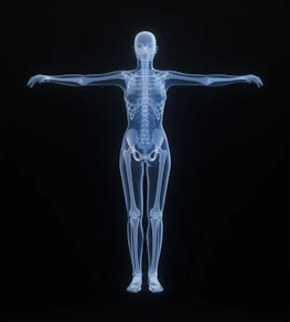 X-ray of a human skeleton against black background