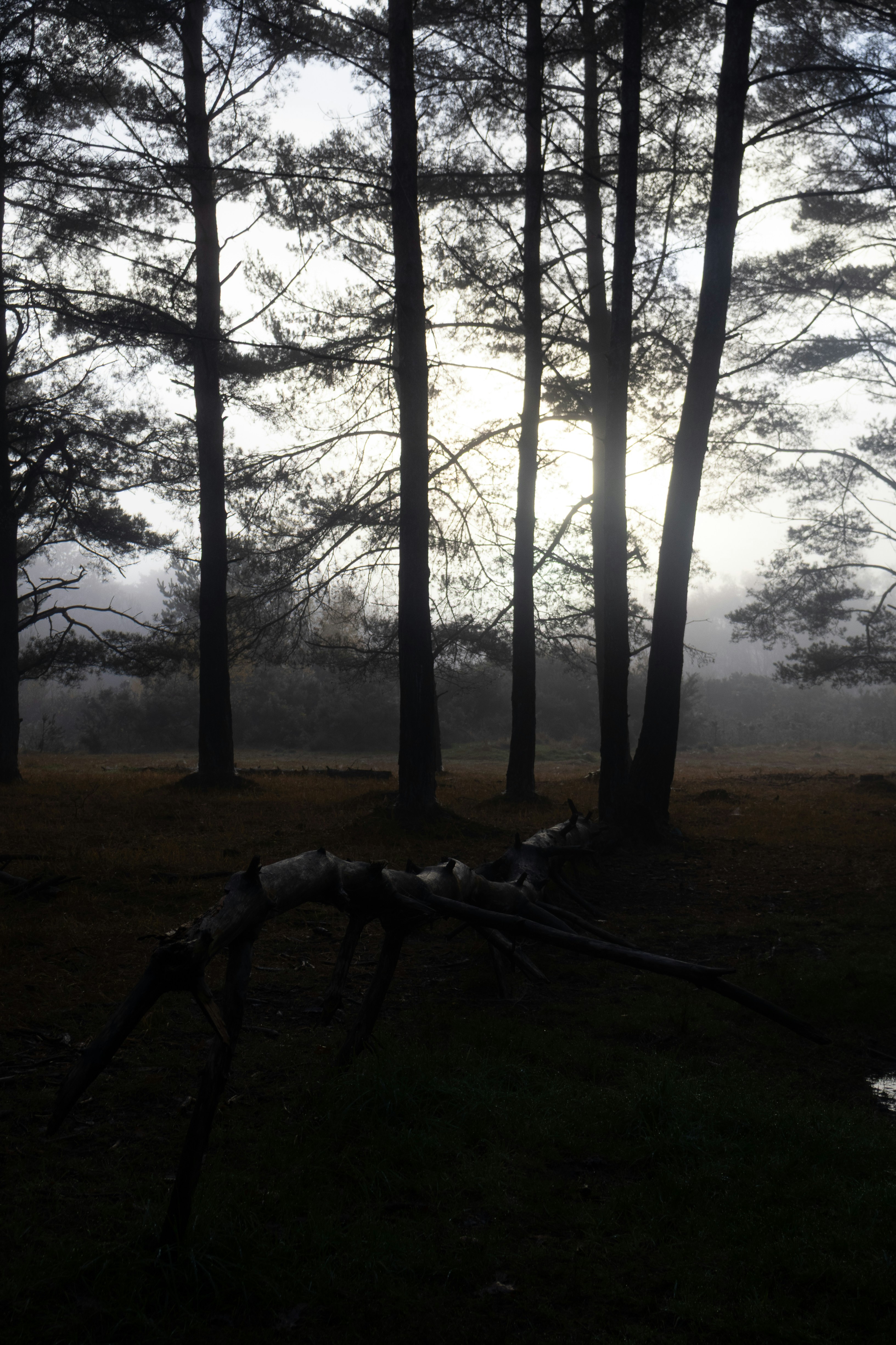 Photo by tanyabarrow