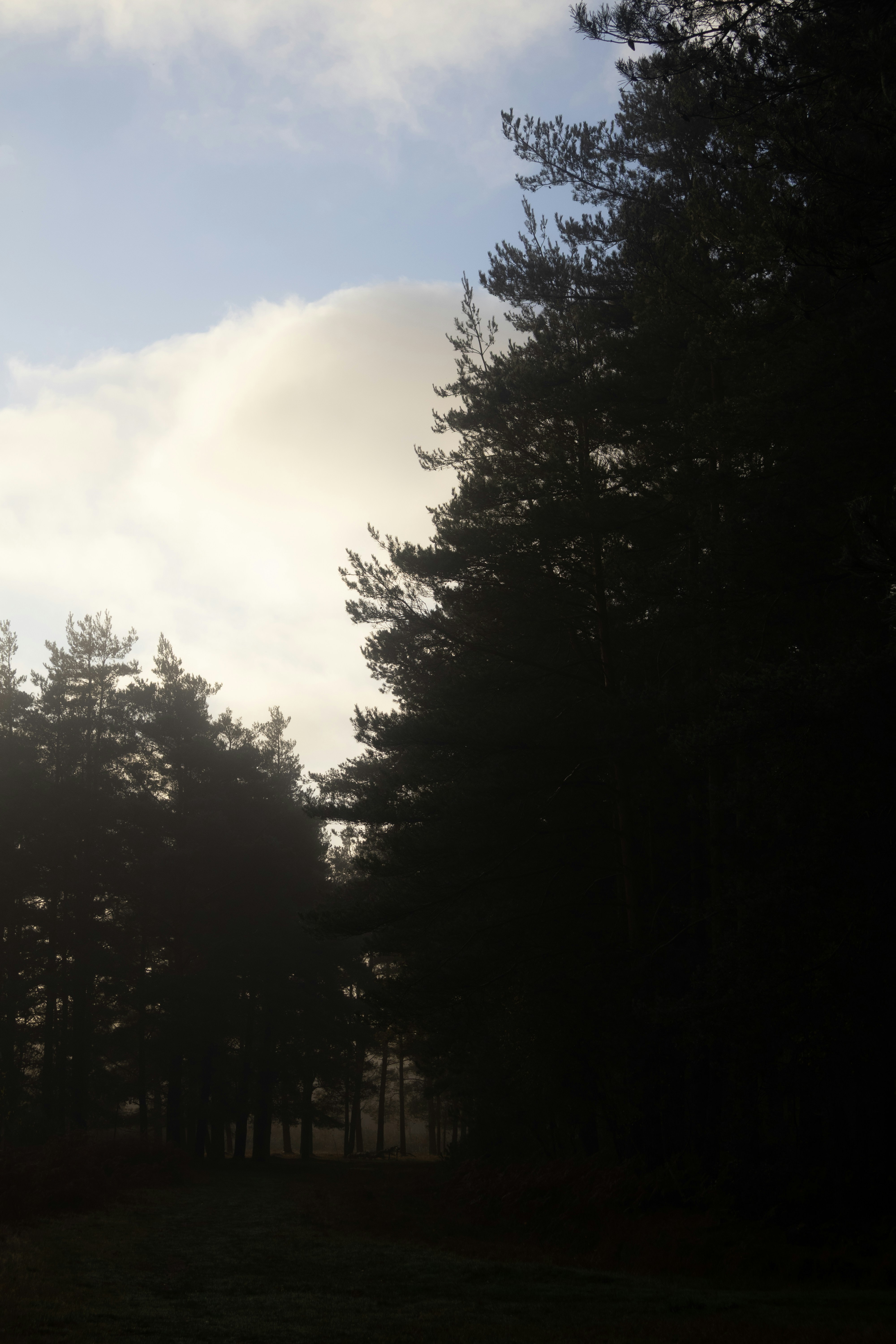 Photo by tanyabarrow