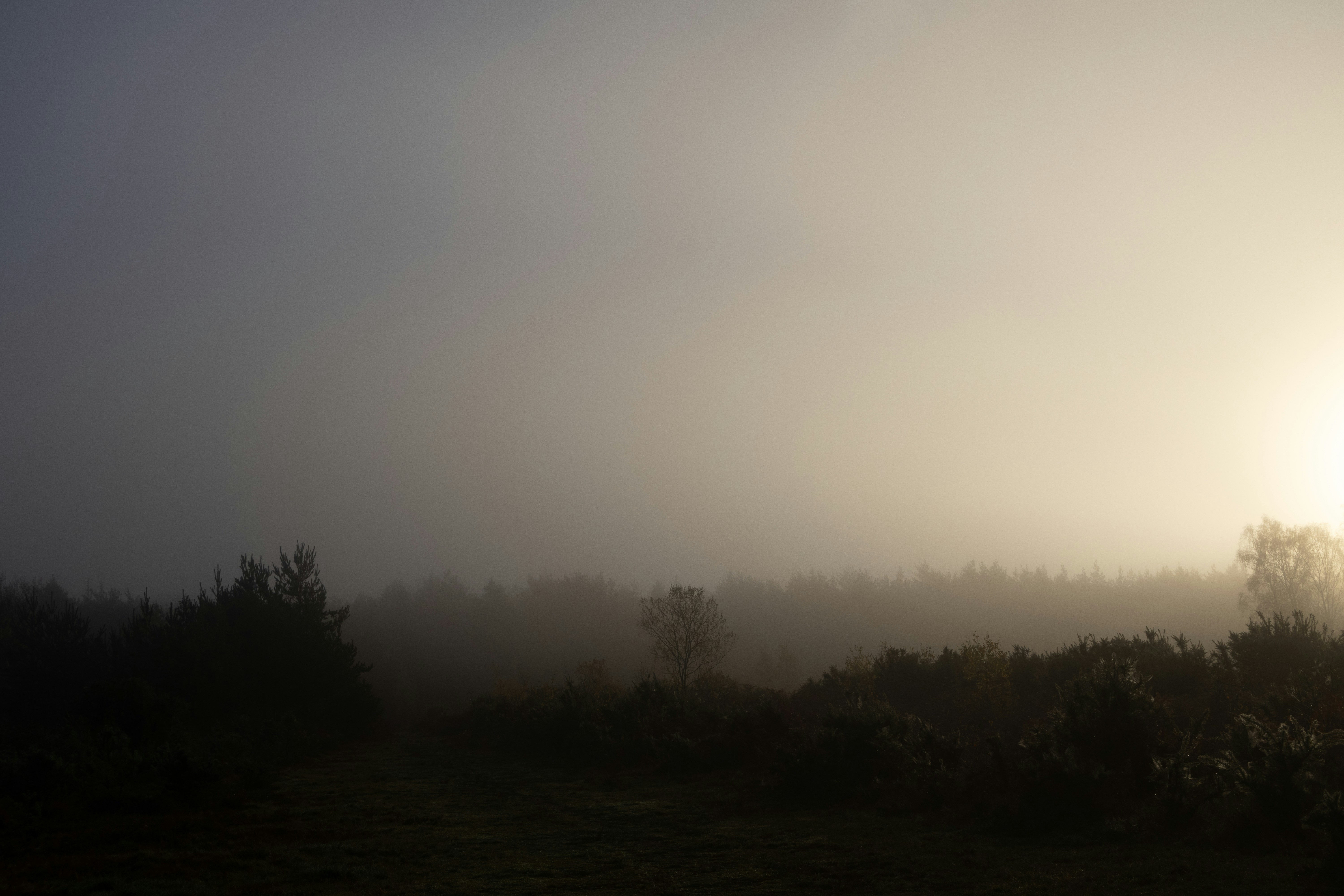 Photo by tanyabarrow