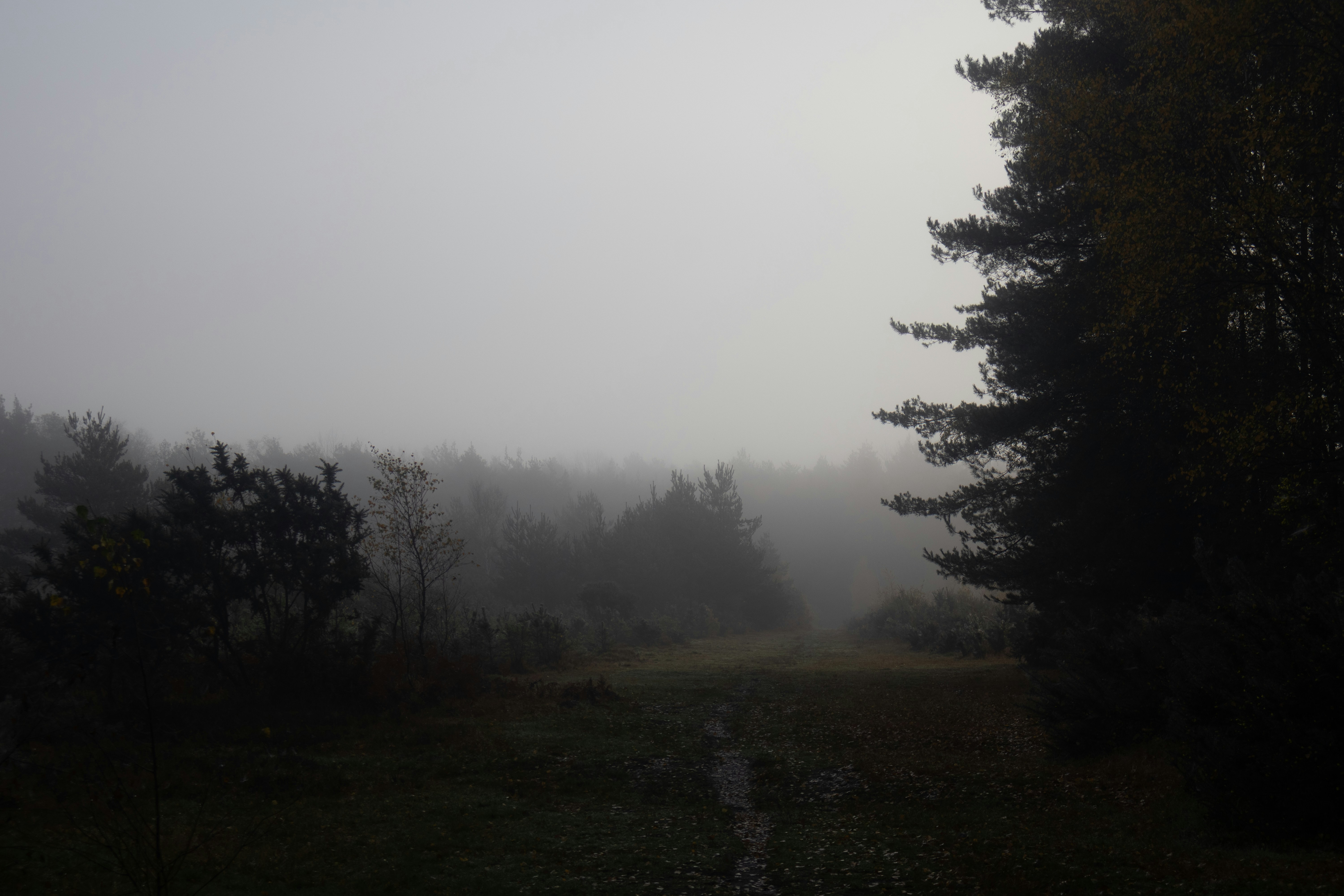 Photo by tanyabarrow