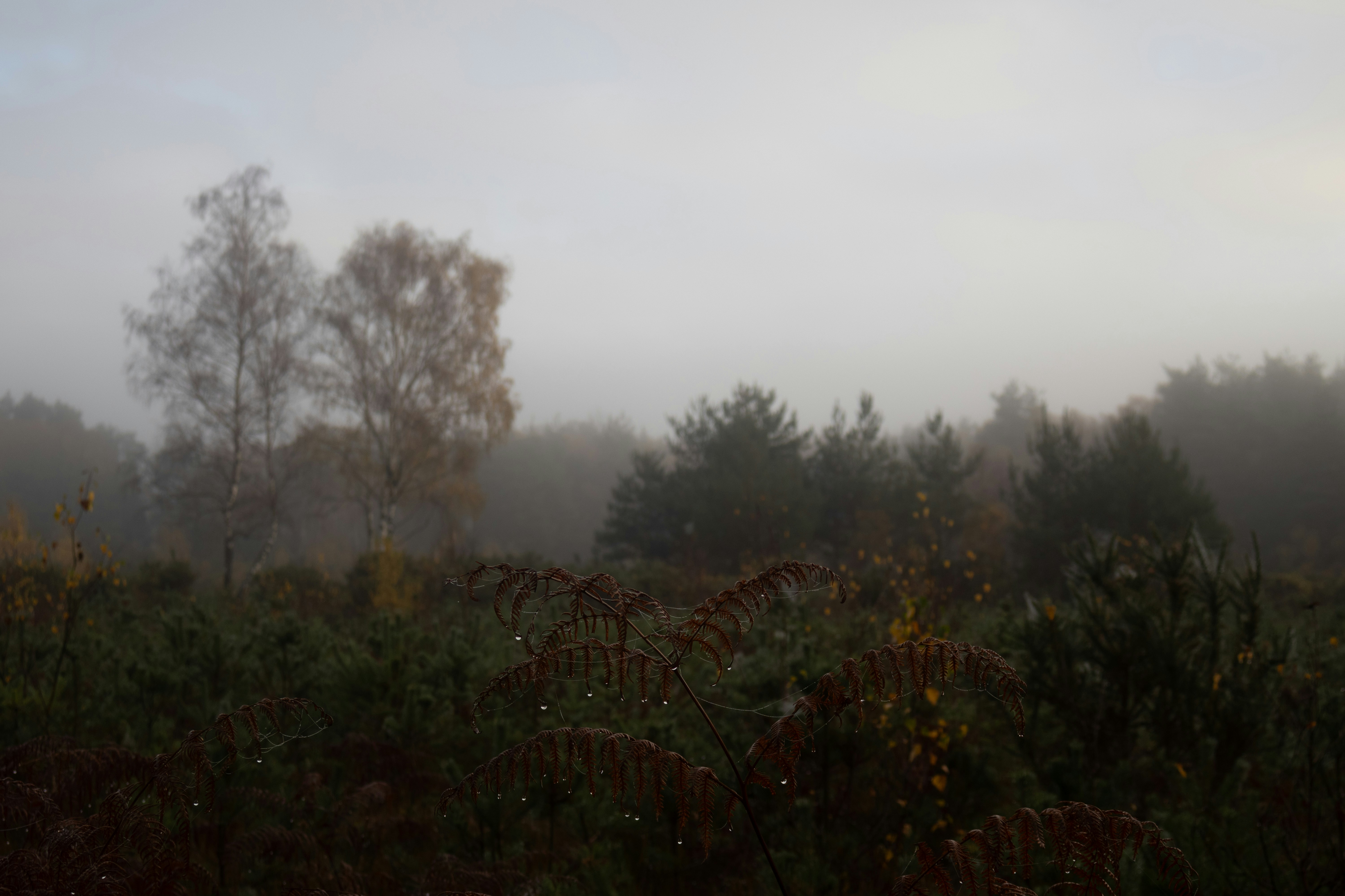 Photo by tanyabarrow