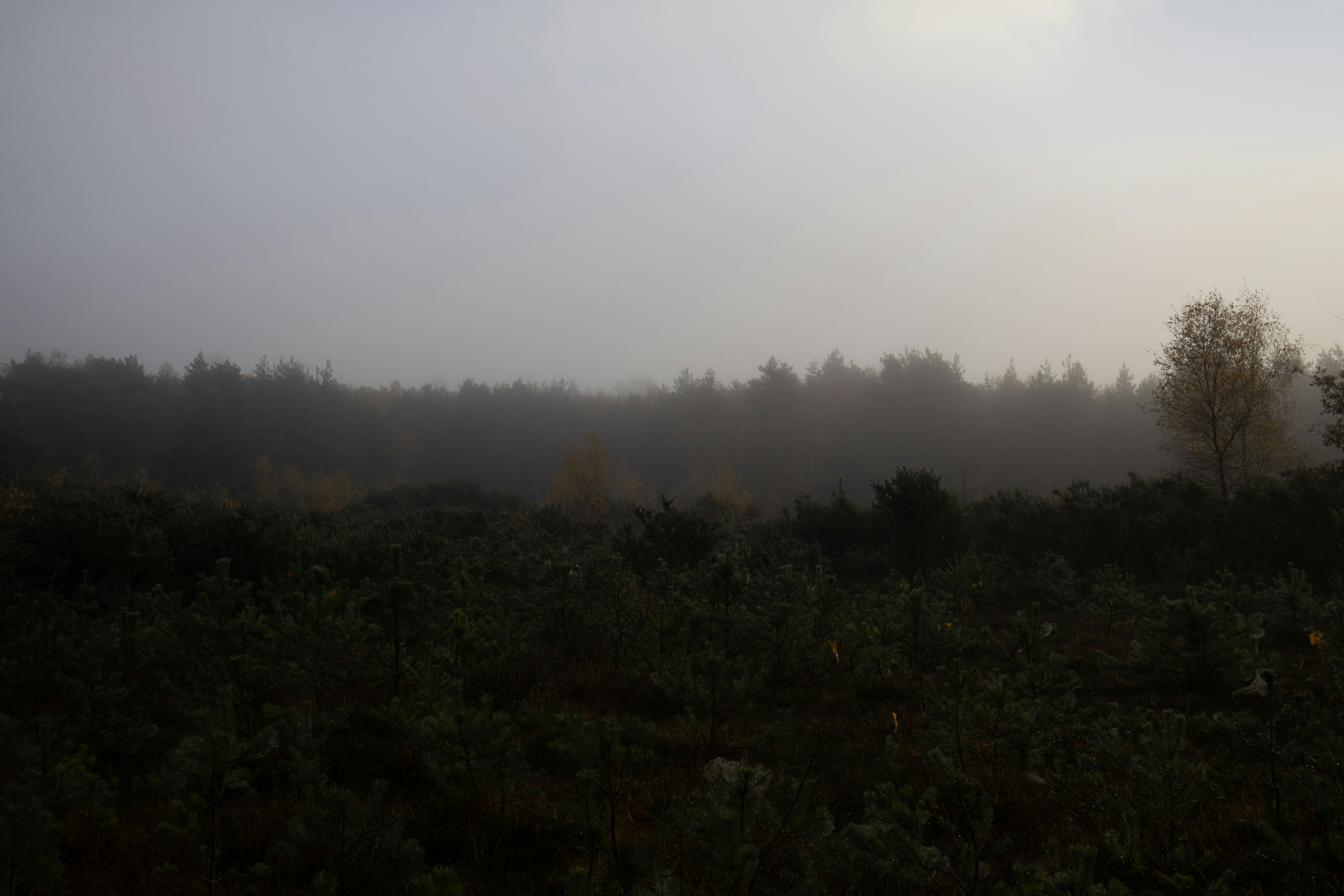 Photo by tanyabarrow