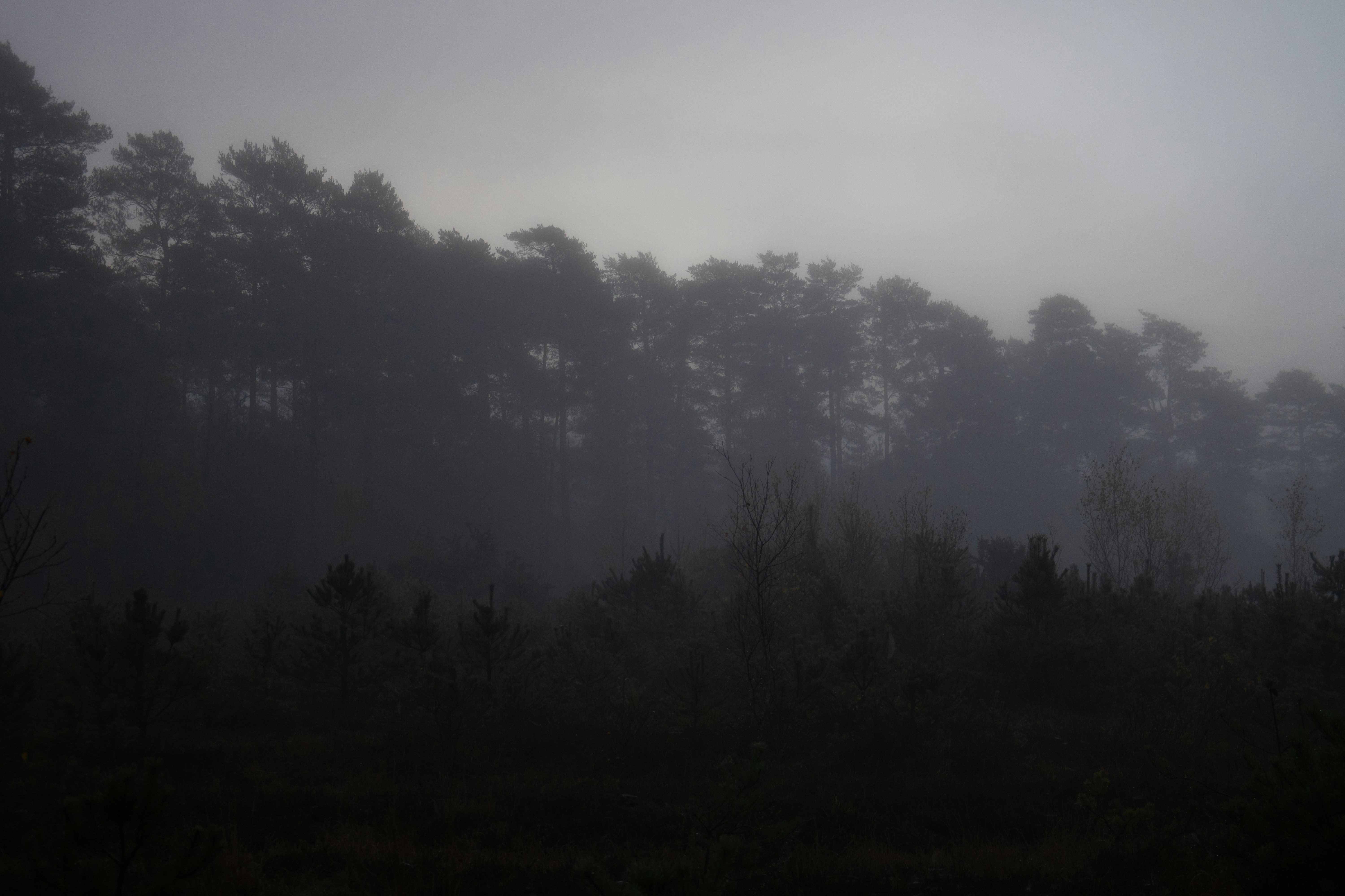 Photo by tanyabarrow