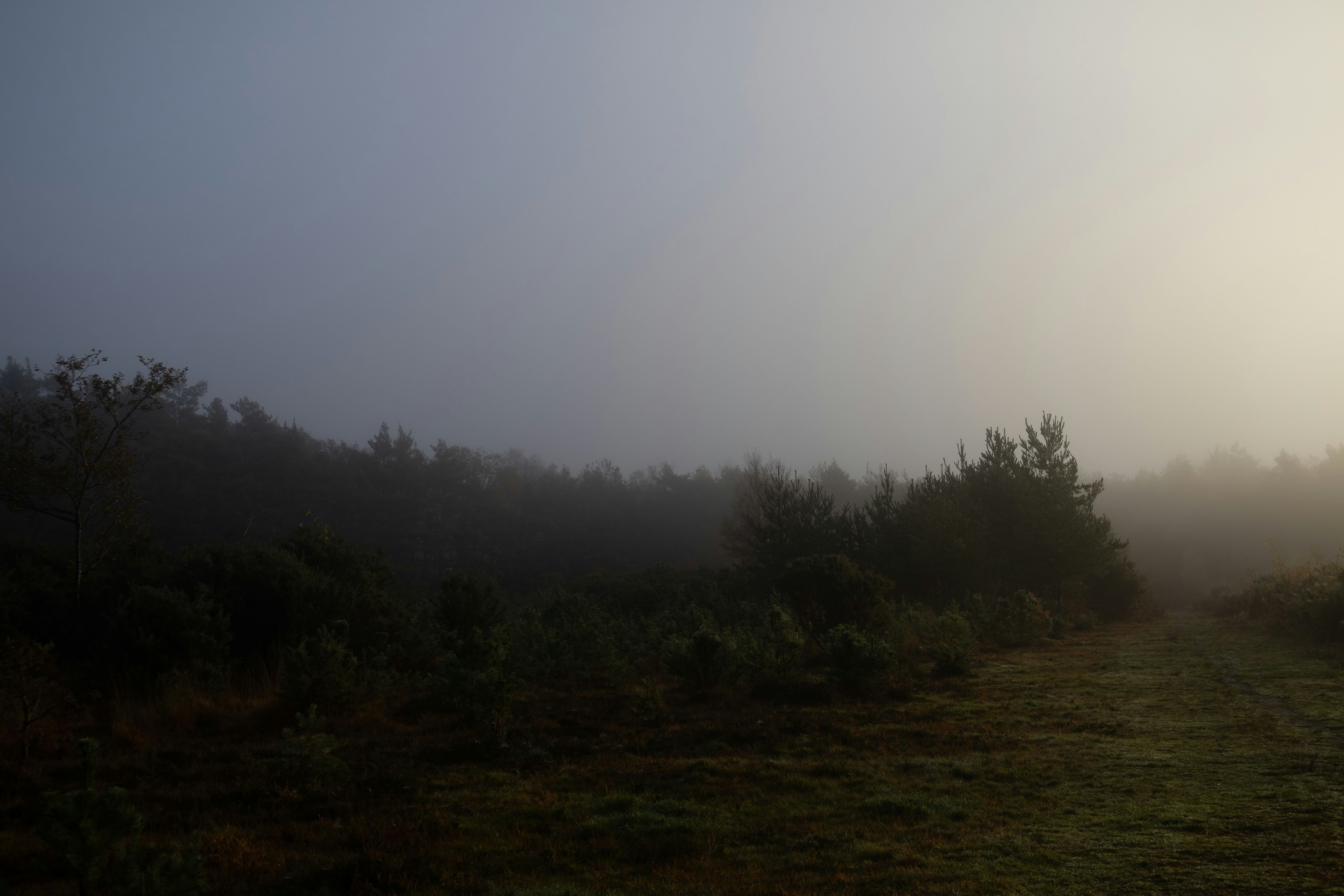 Photo by tanyabarrow