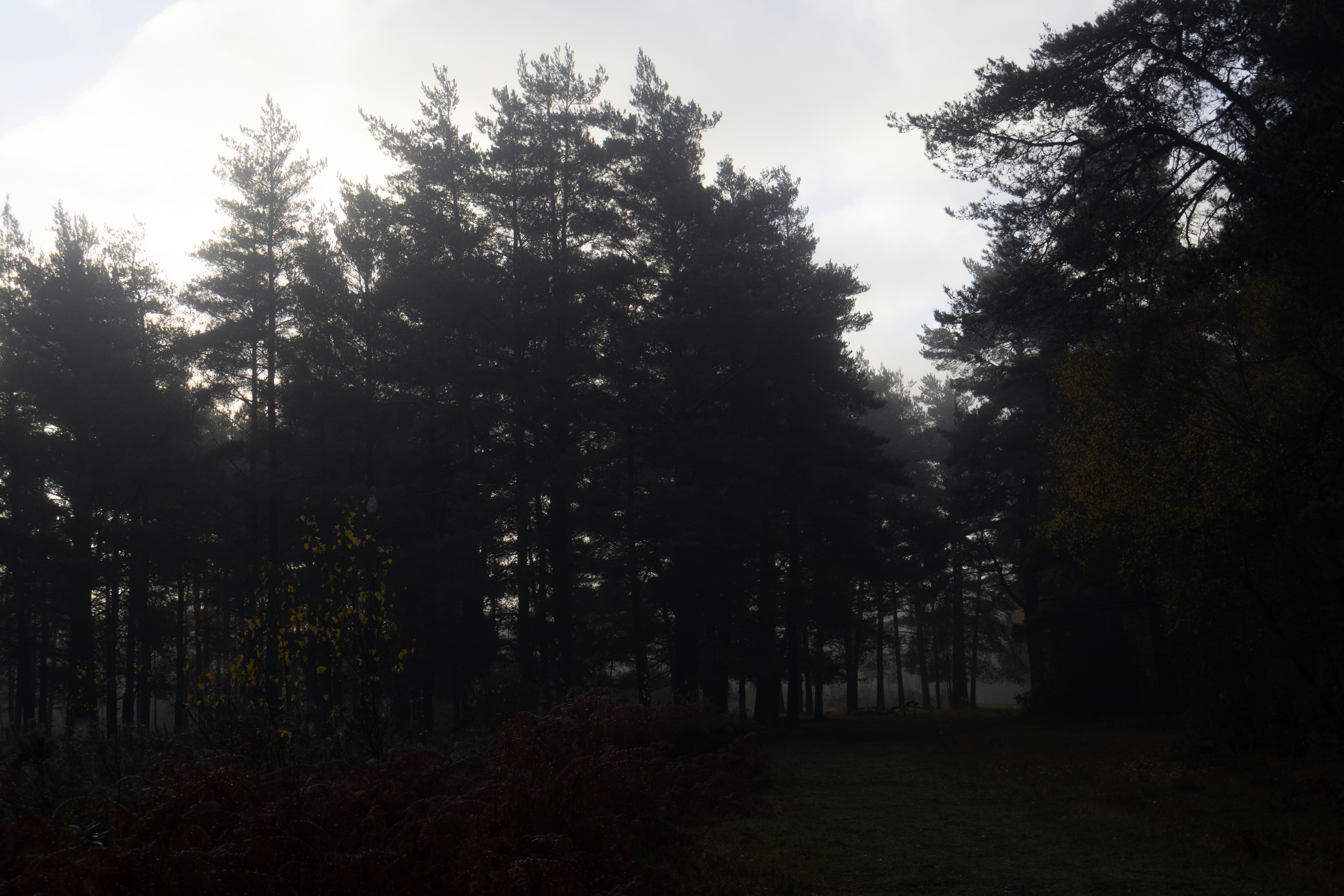 Photo by tanyabarrow