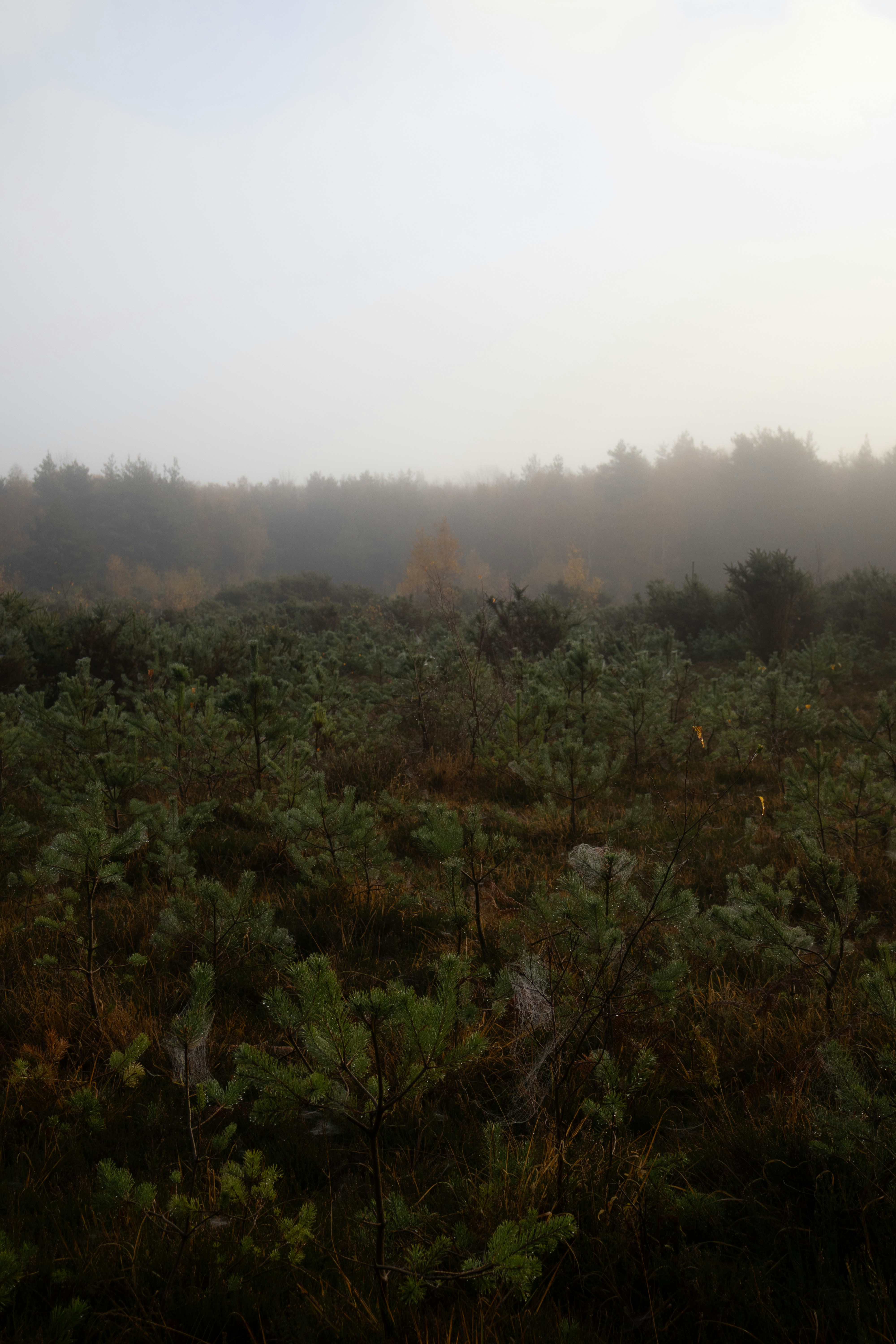 Photo by tanyabarrow