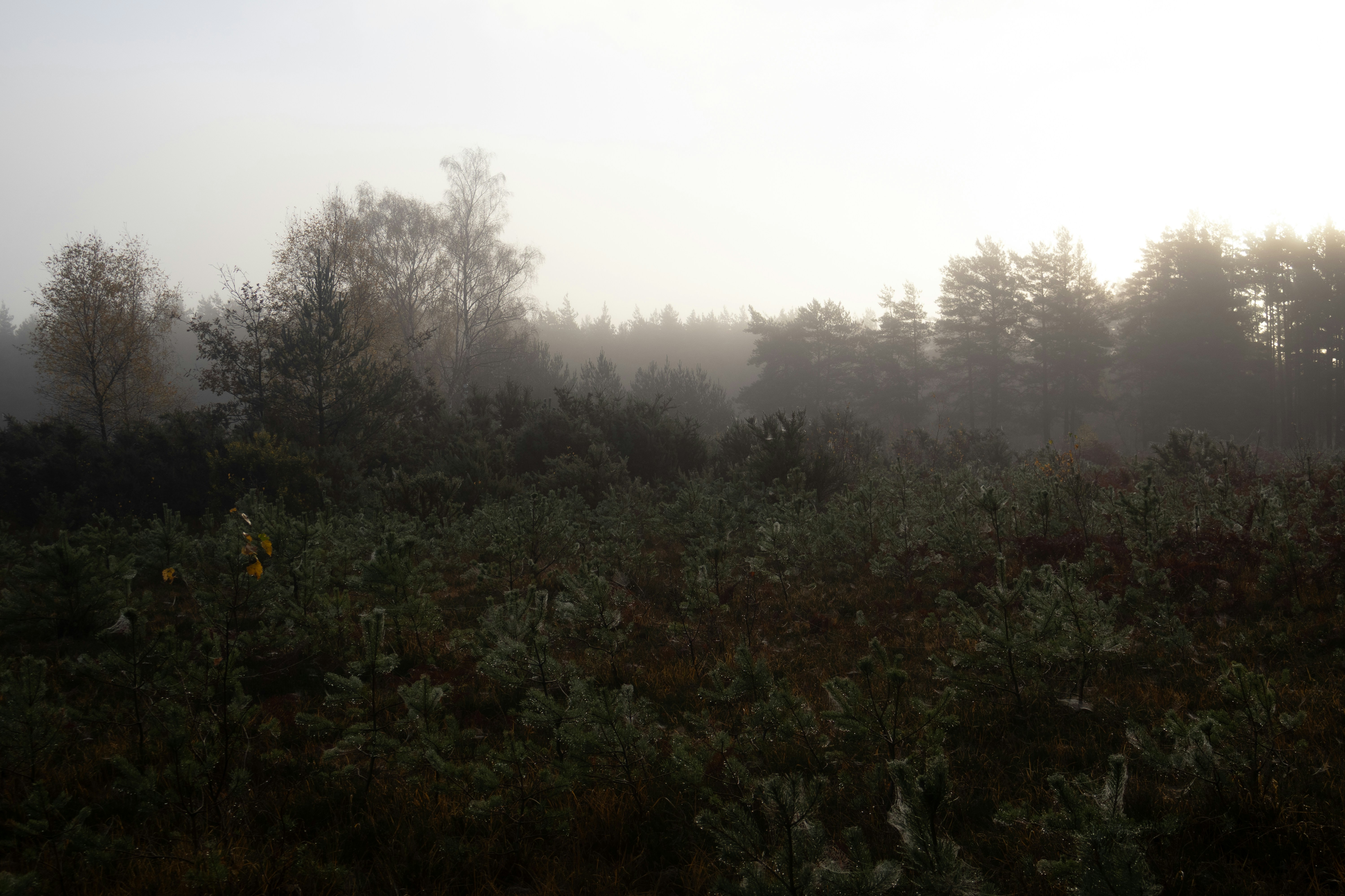 Photo by tanyabarrow