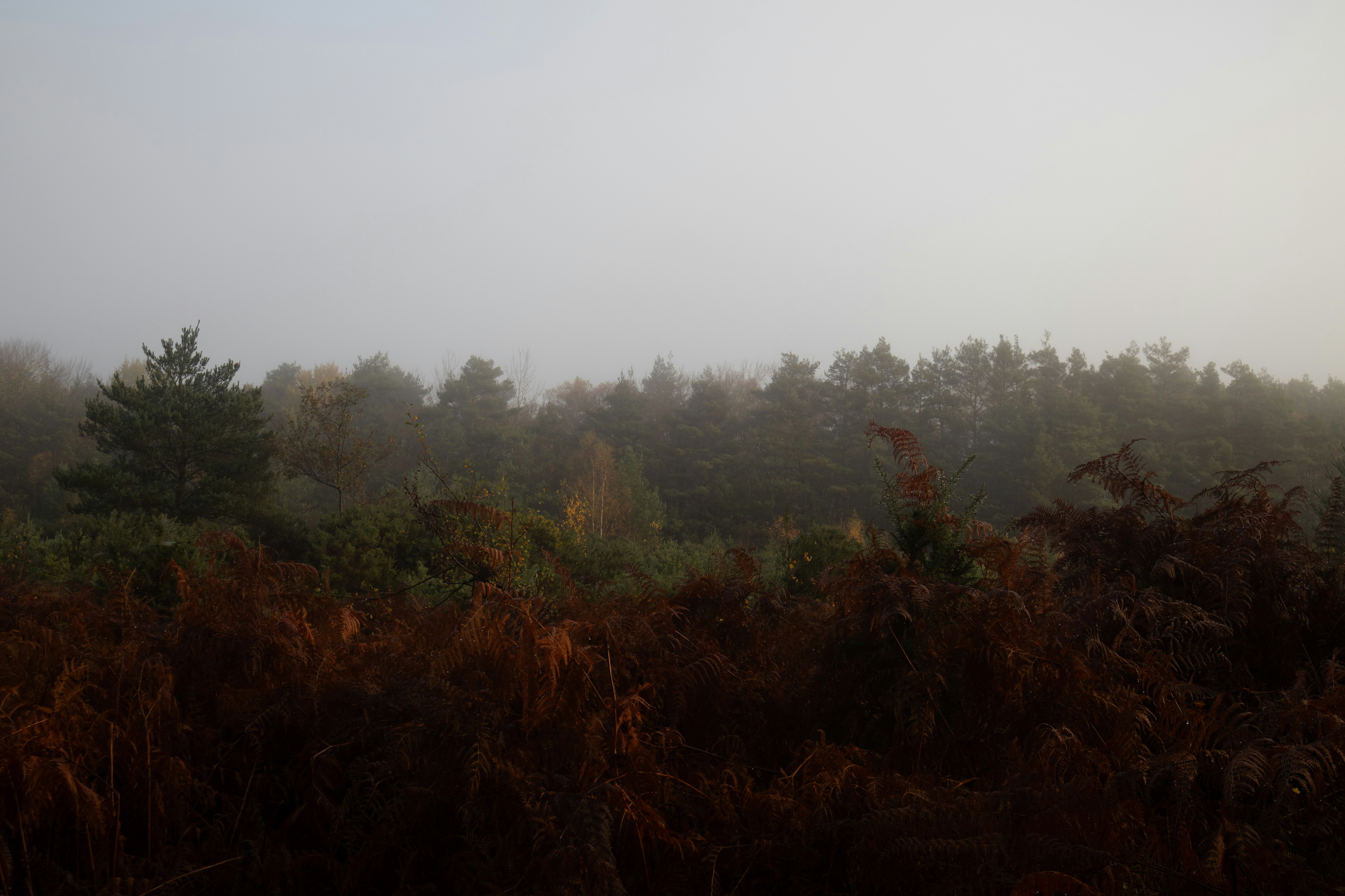 Photo by tanyabarrow