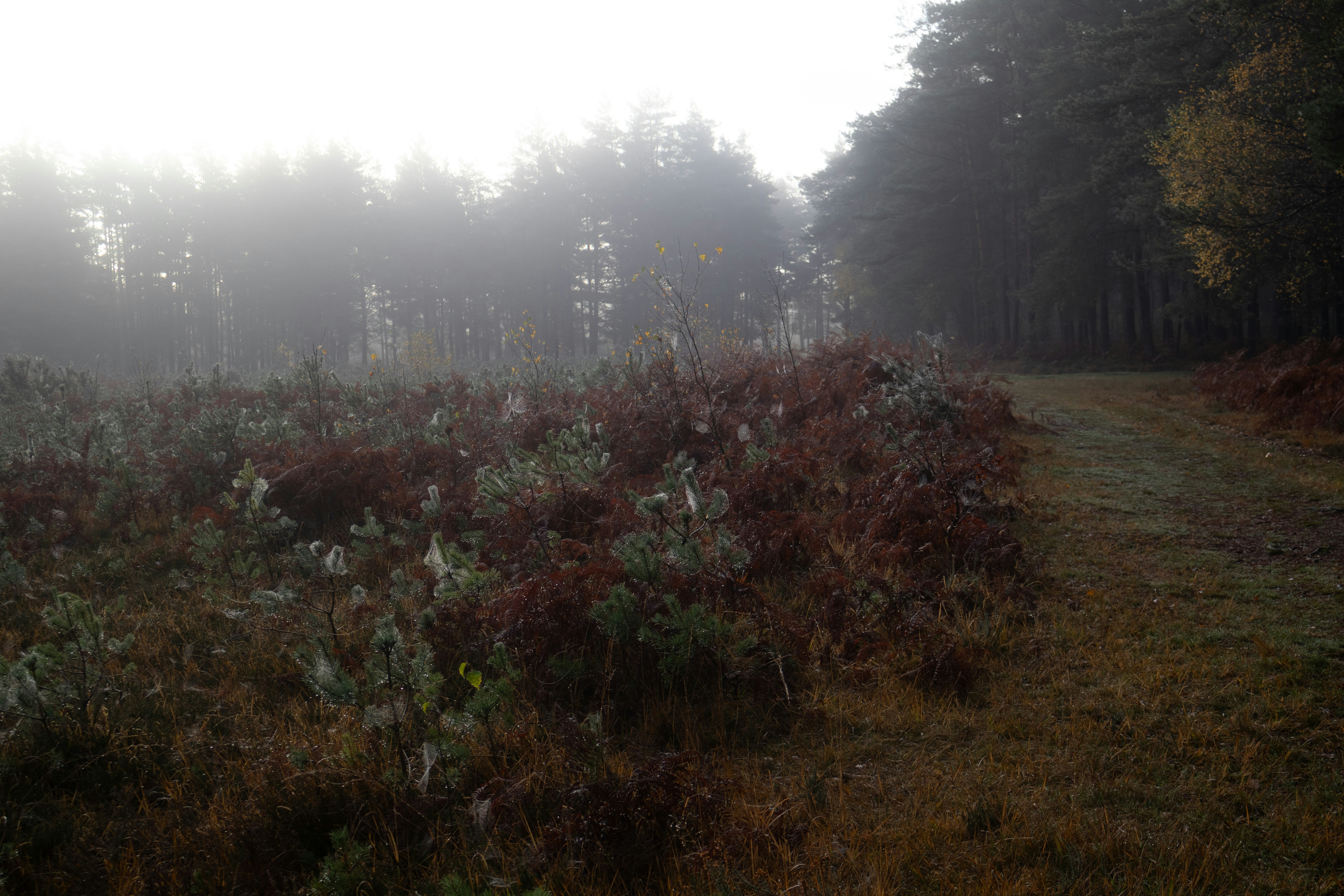 Photo by tanyabarrow