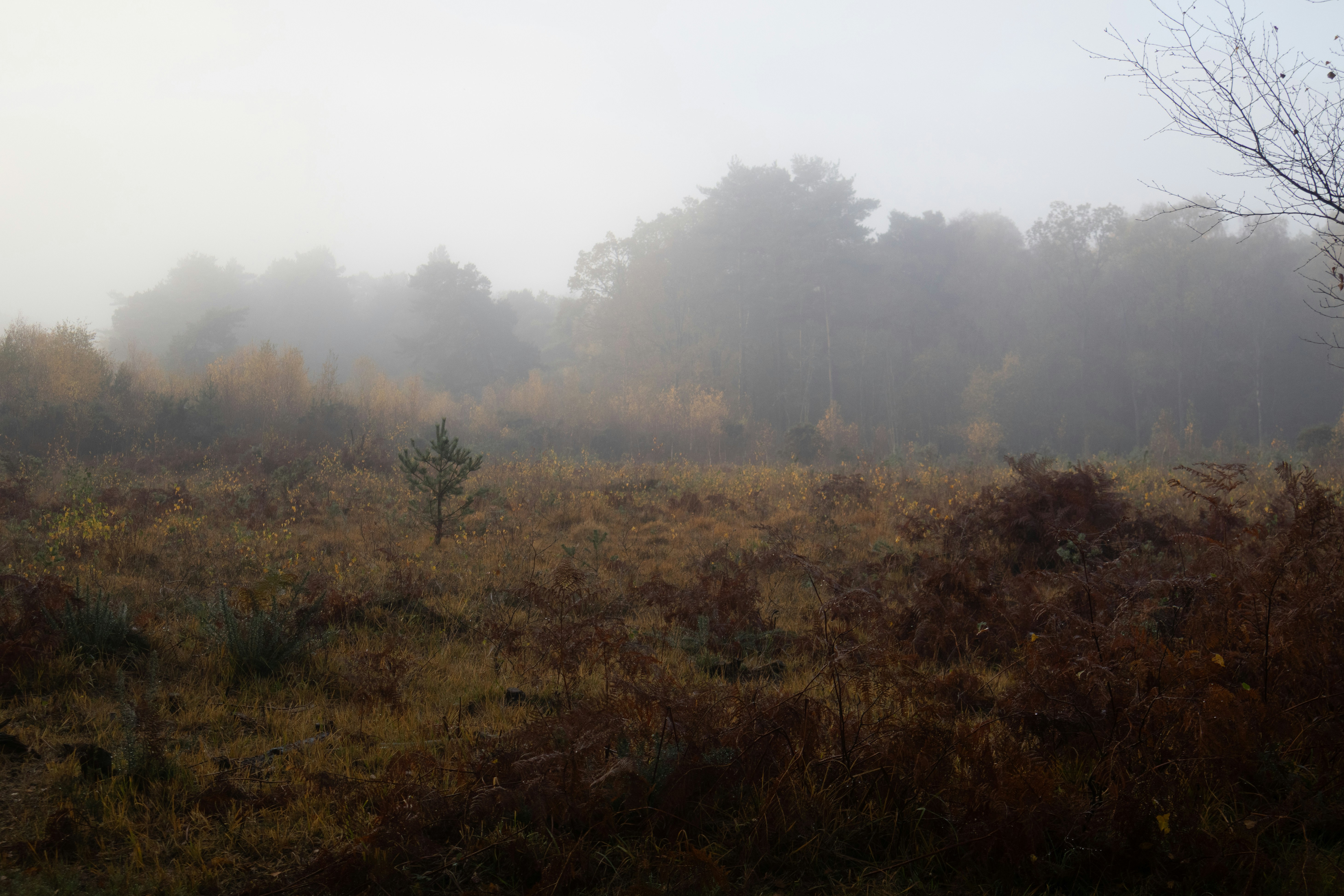 Photo by tanyabarrow