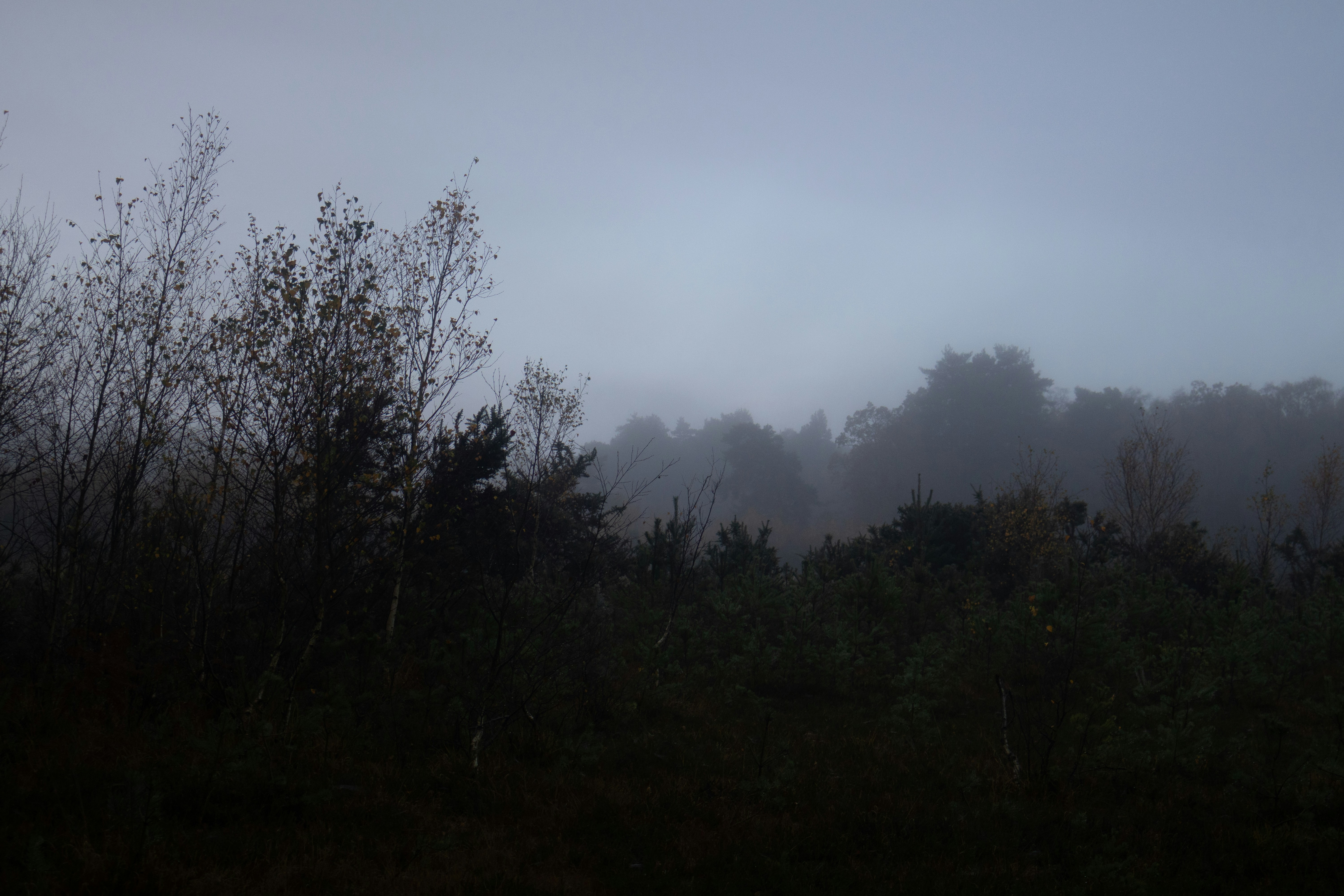 Photo by tanyabarrow