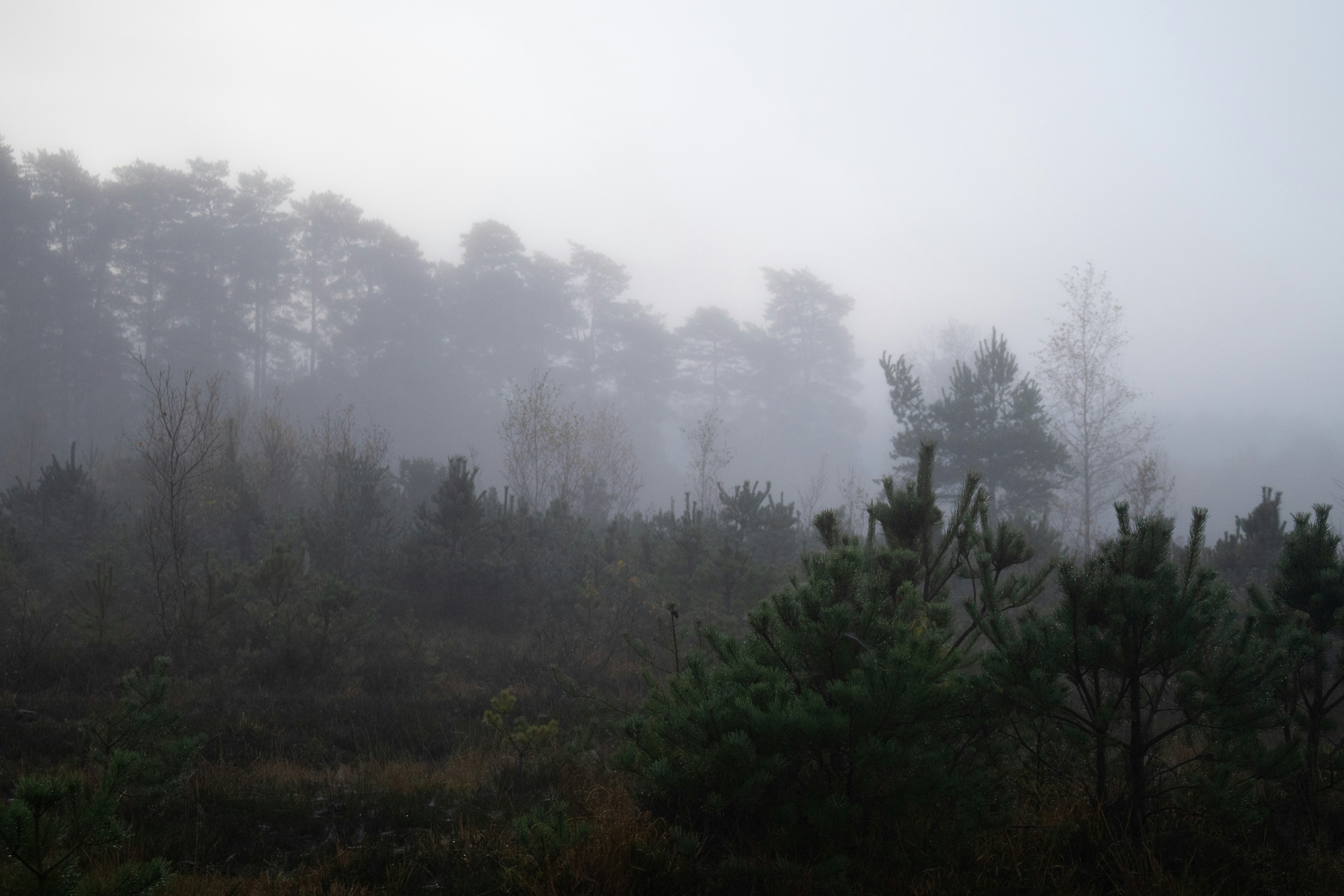 Photo by tanyabarrow