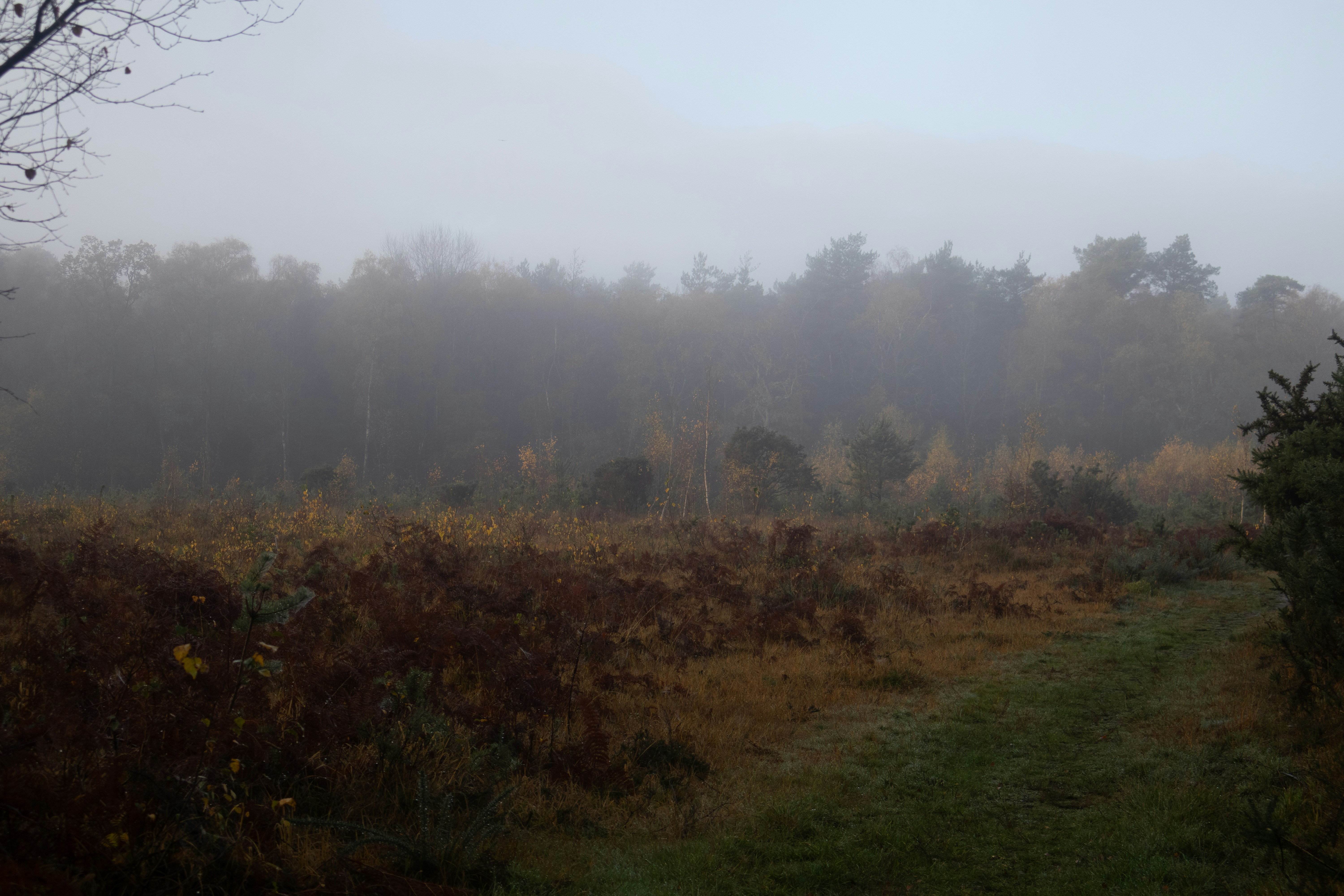 Photo by tanyabarrow