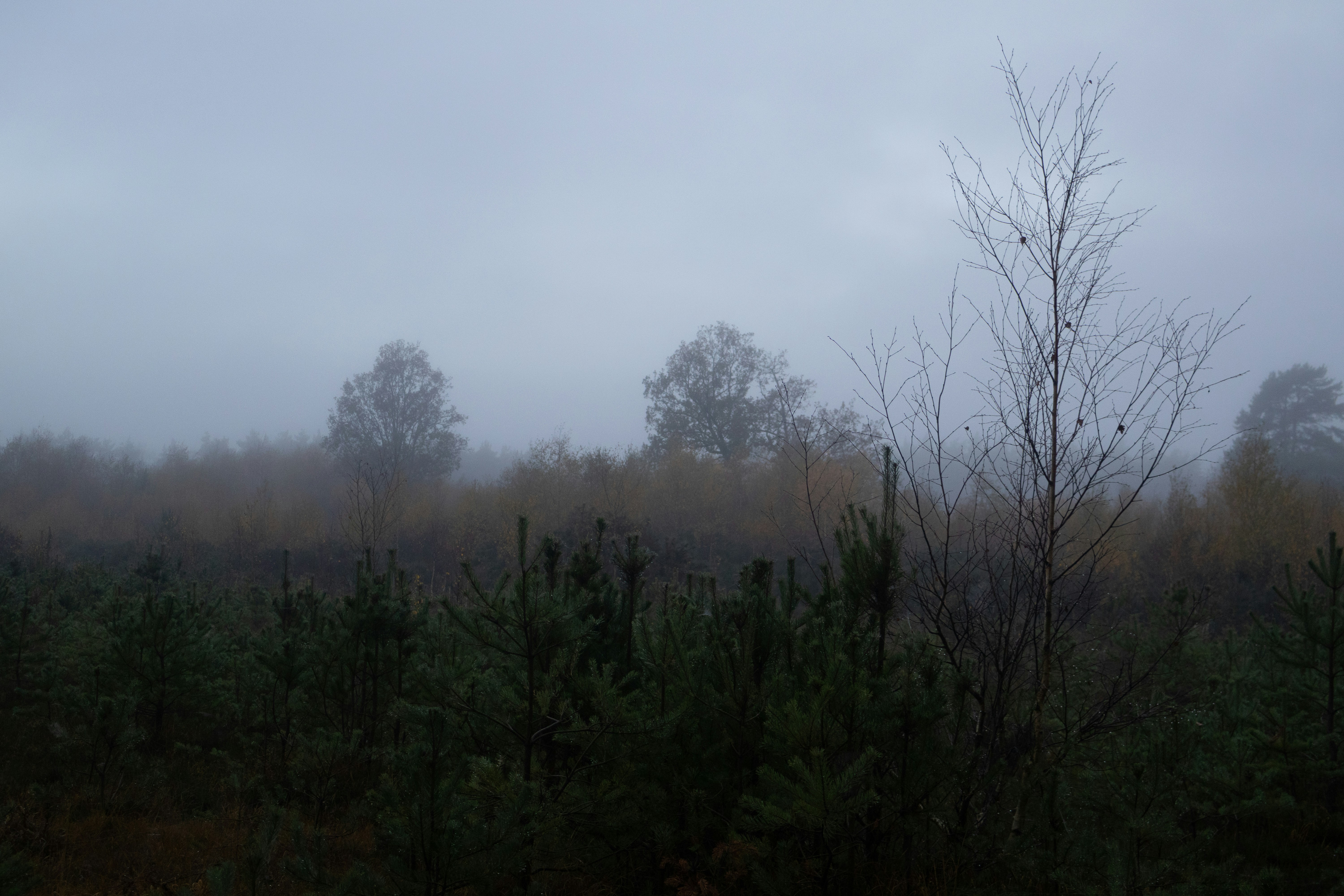 Photo by tanyabarrow