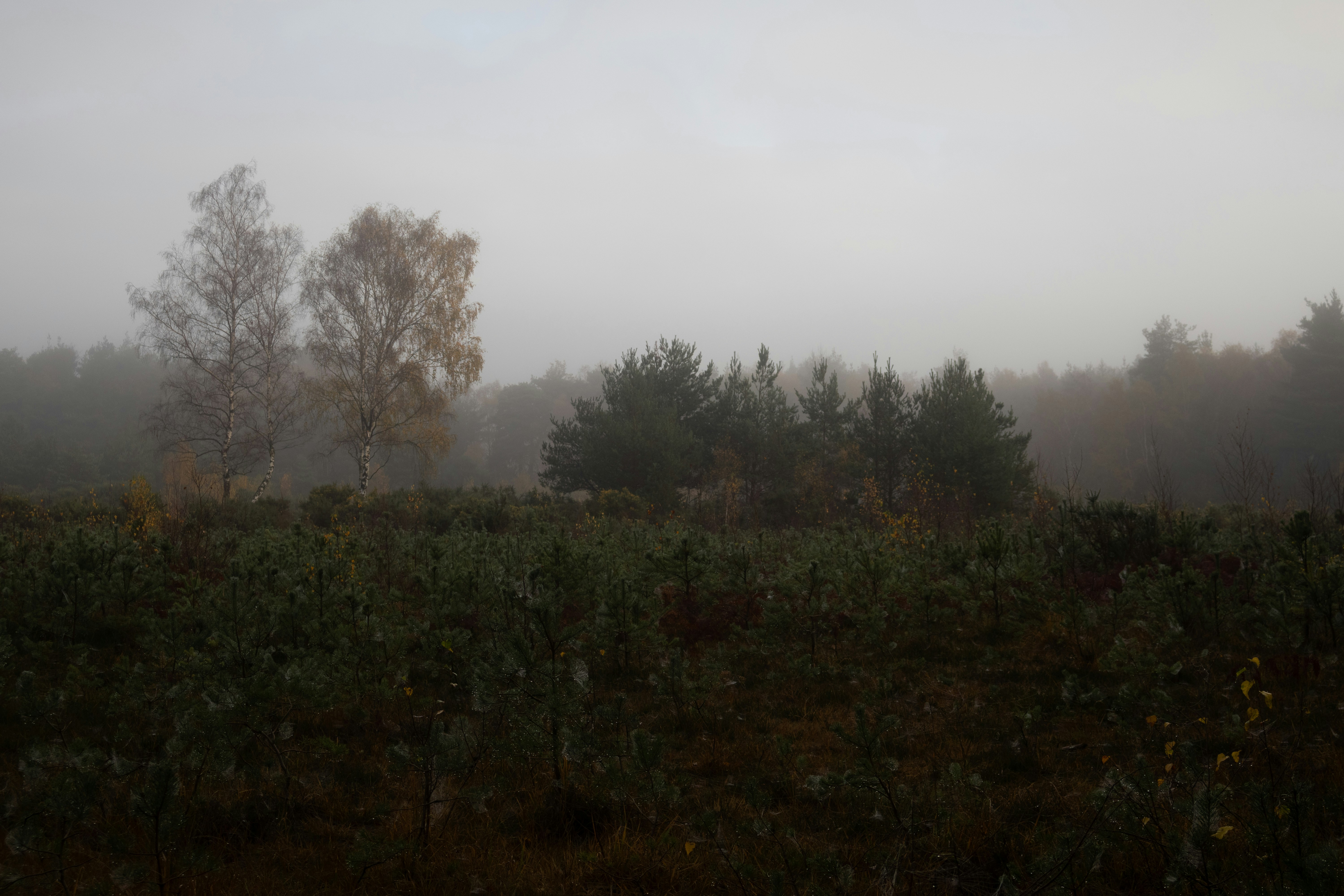 Photo by tanyabarrow