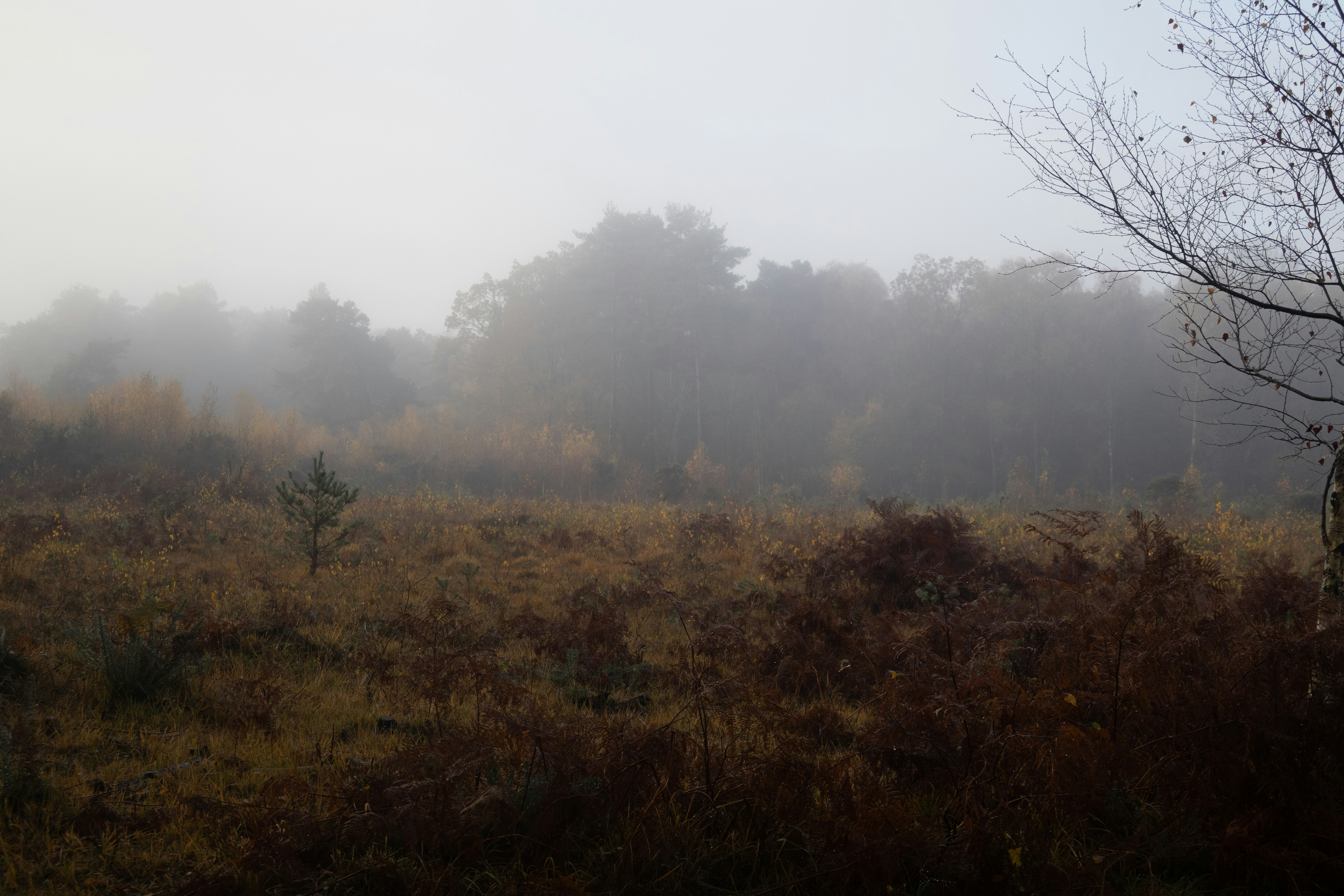 Photo by tanyabarrow