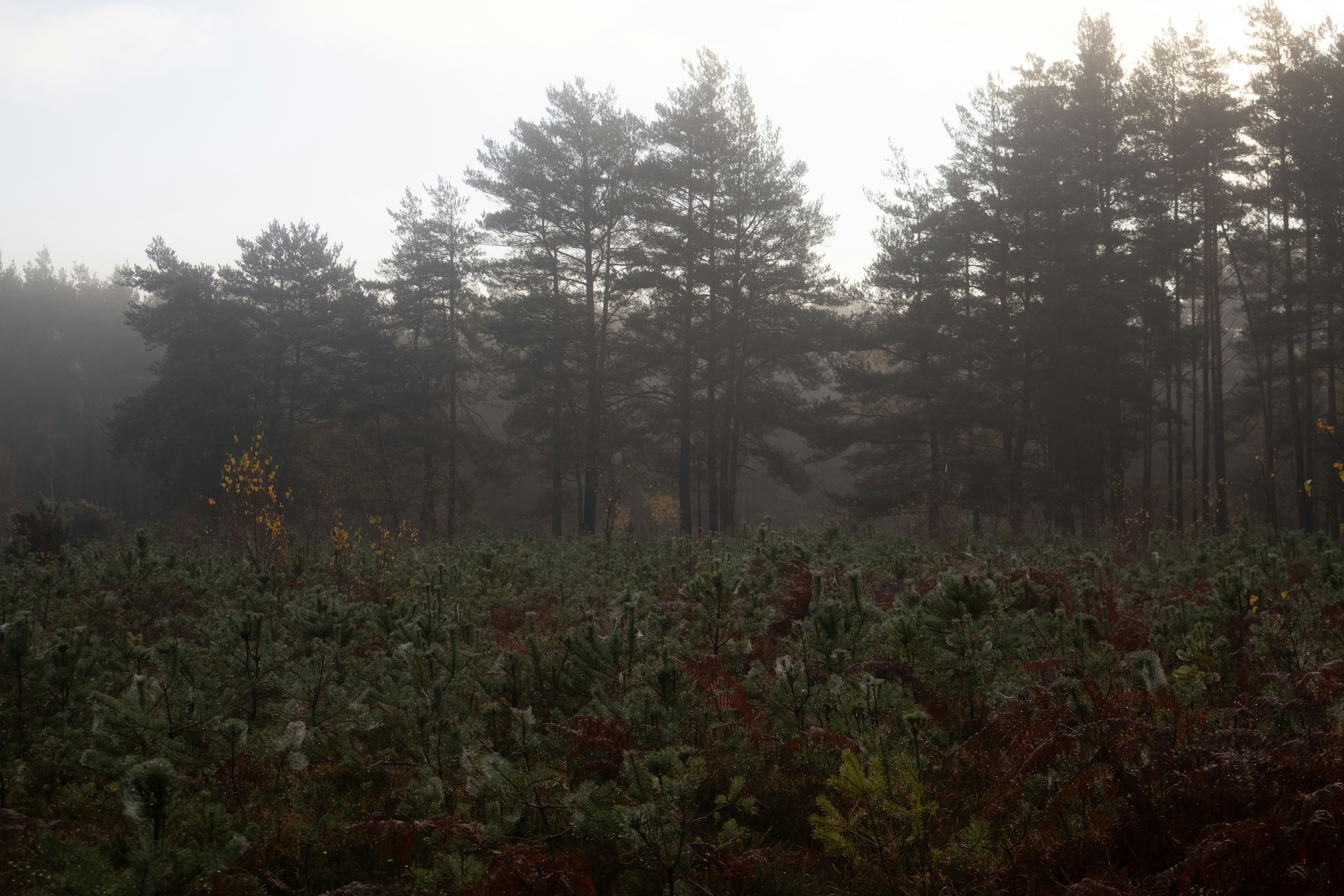 Photo by tanyabarrow