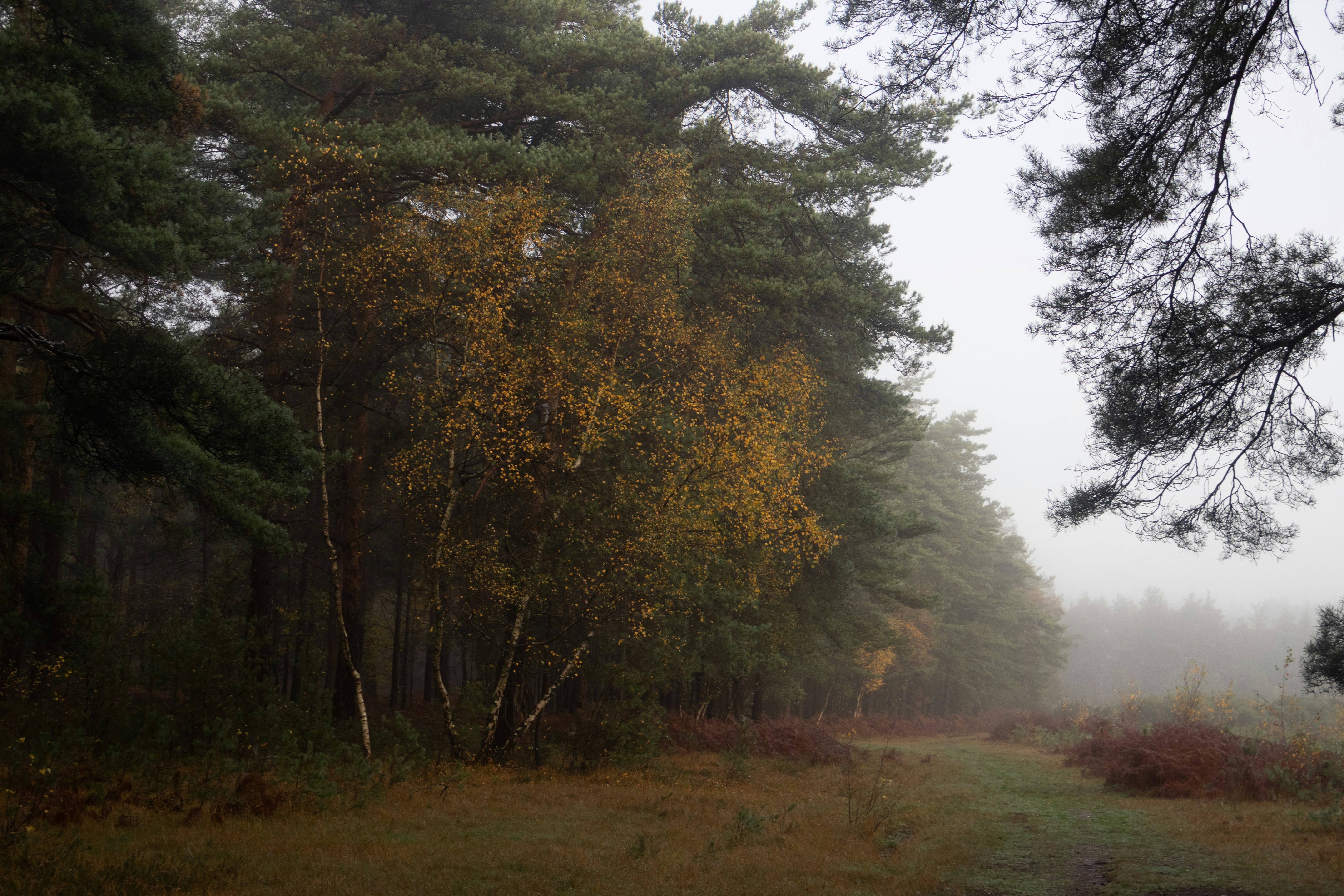 Photo by tanyabarrow