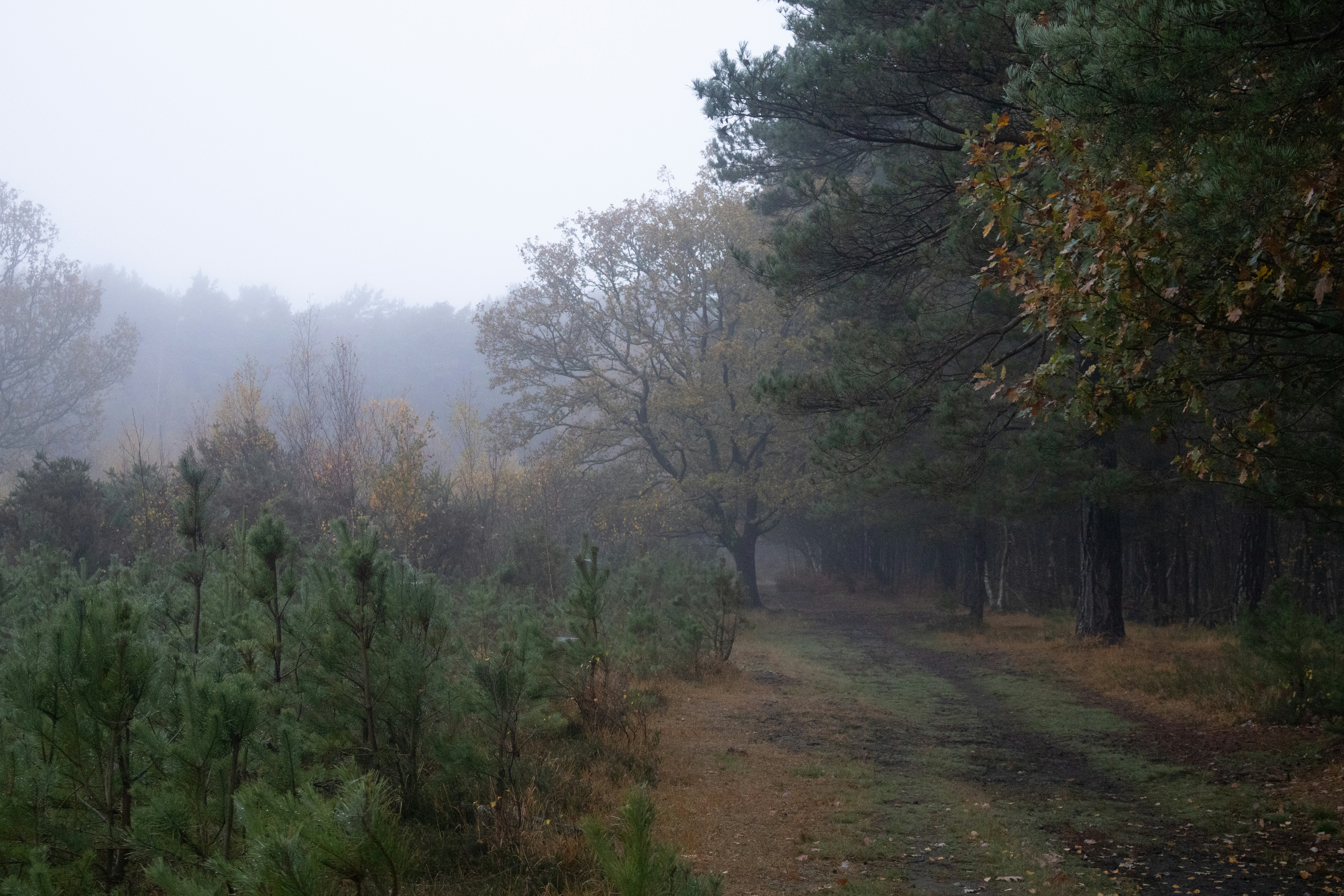 Photo by tanyabarrow