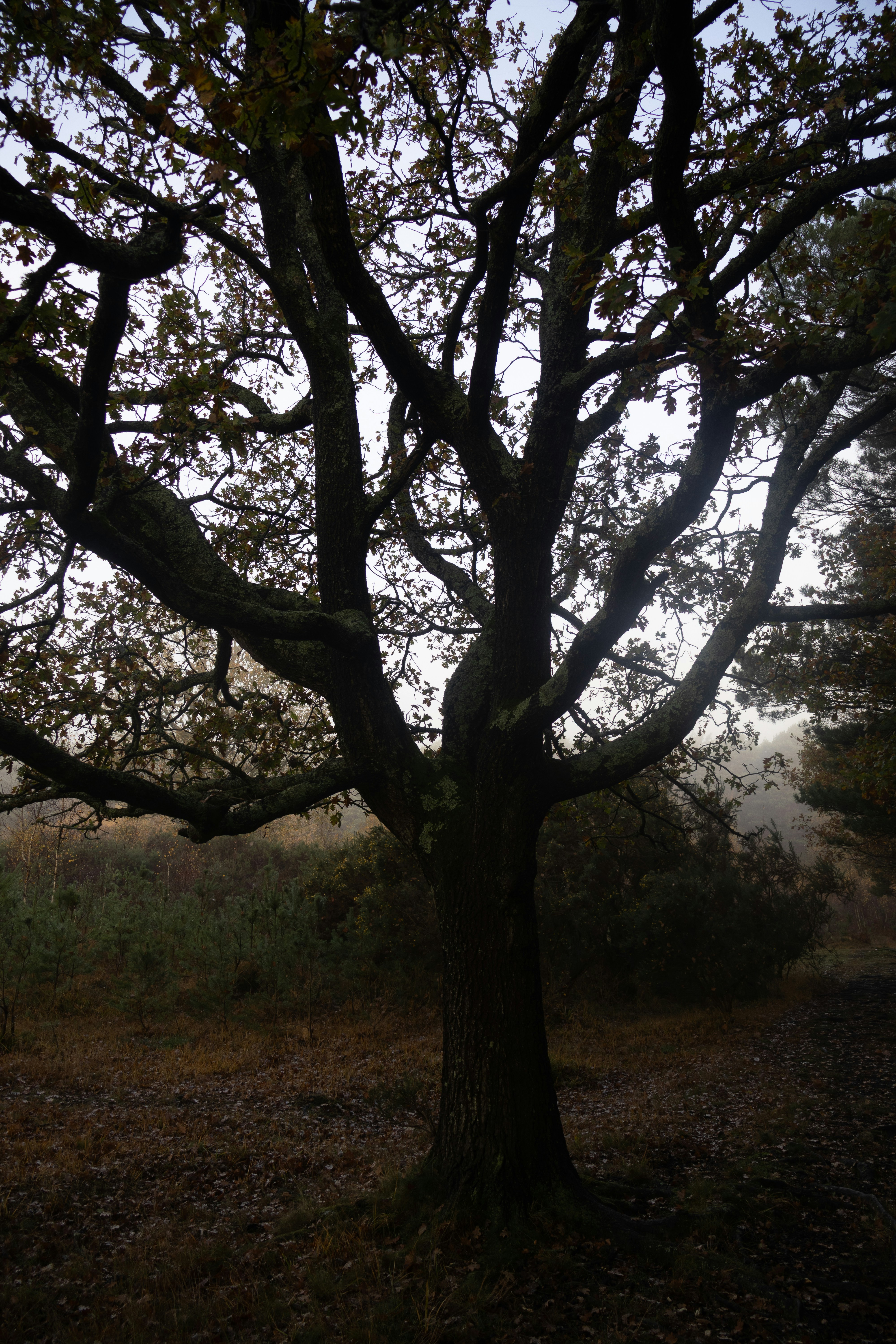 Photo by tanyabarrow