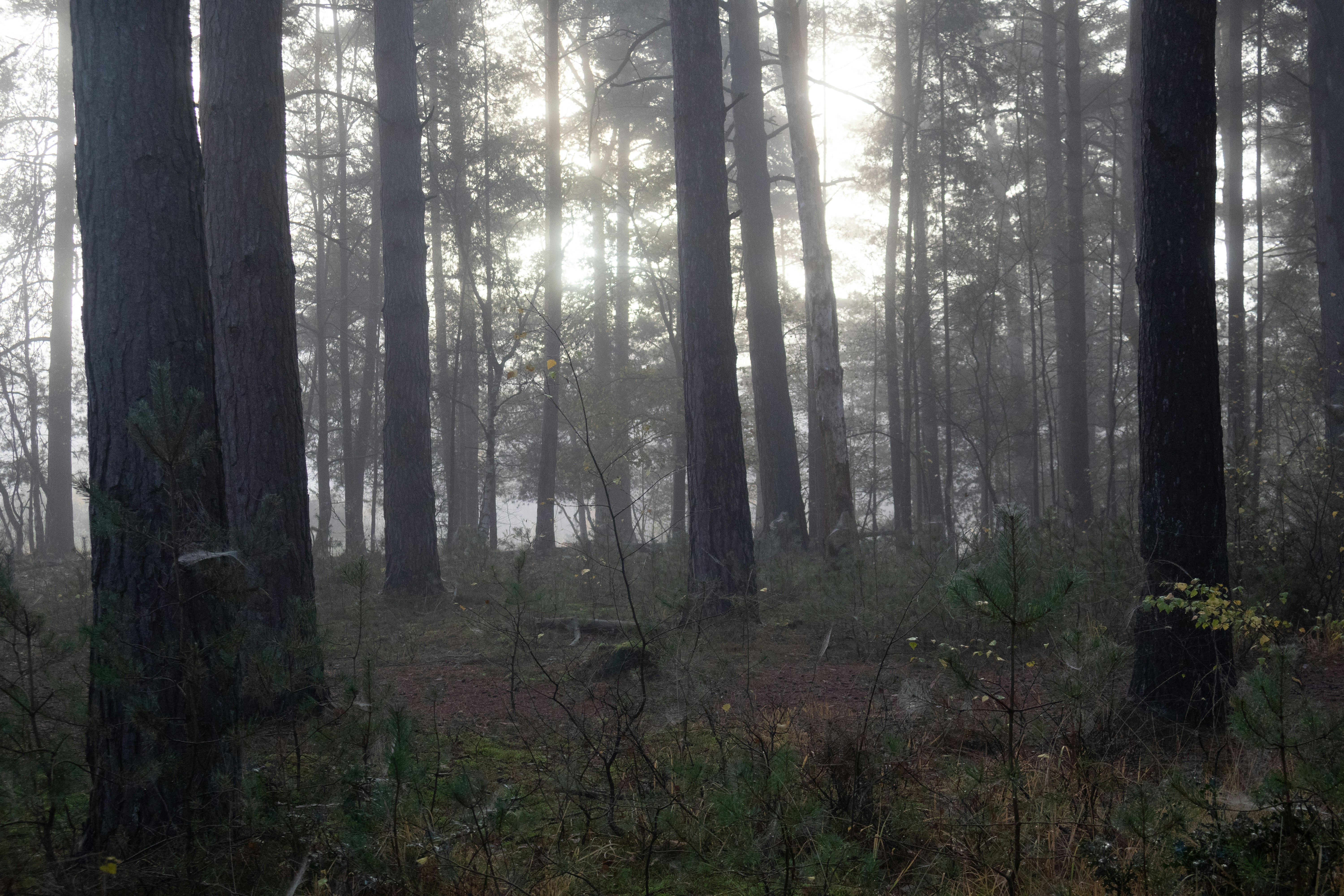 Photo by tanyabarrow