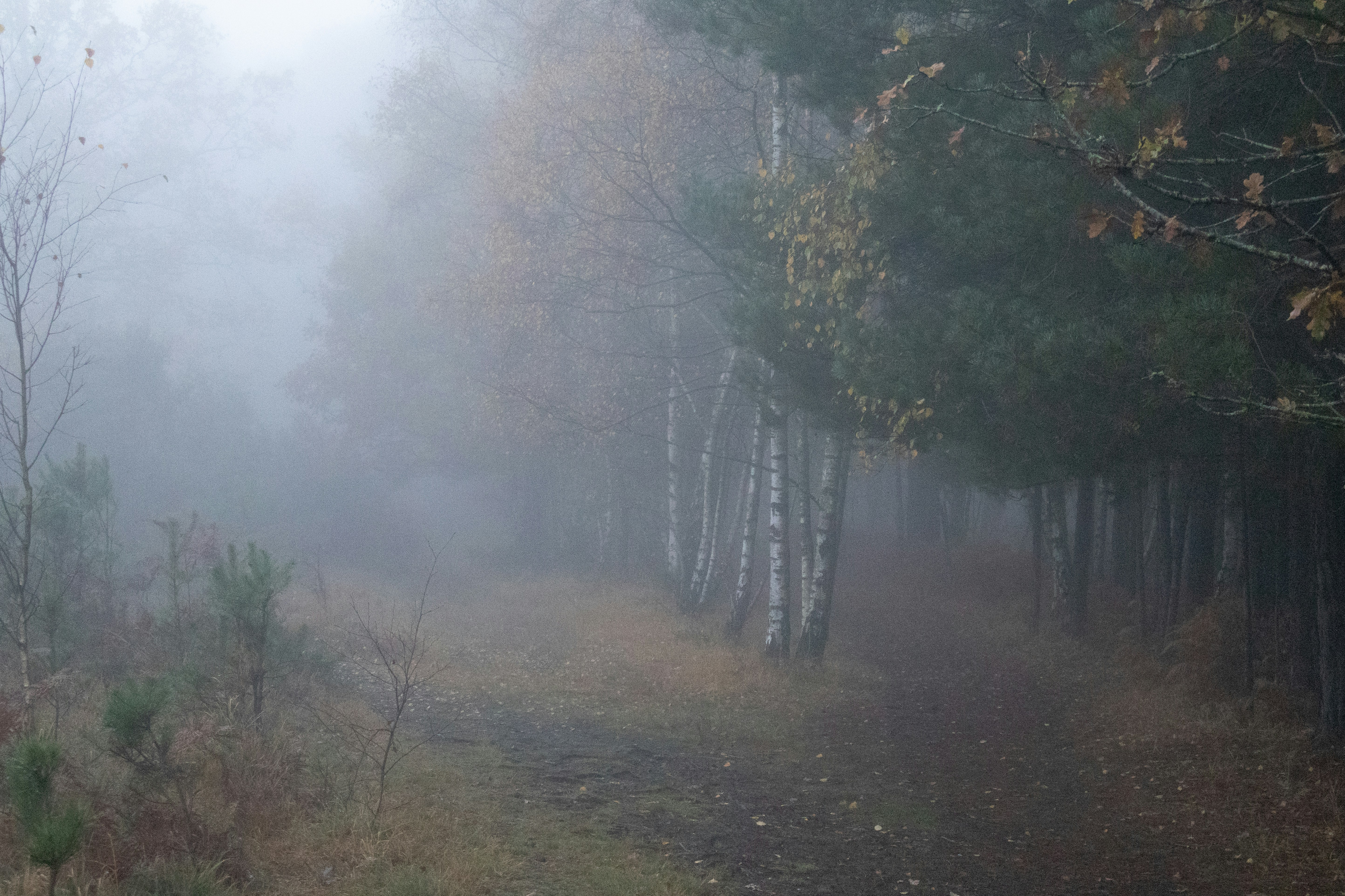 Photo by tanyabarrow