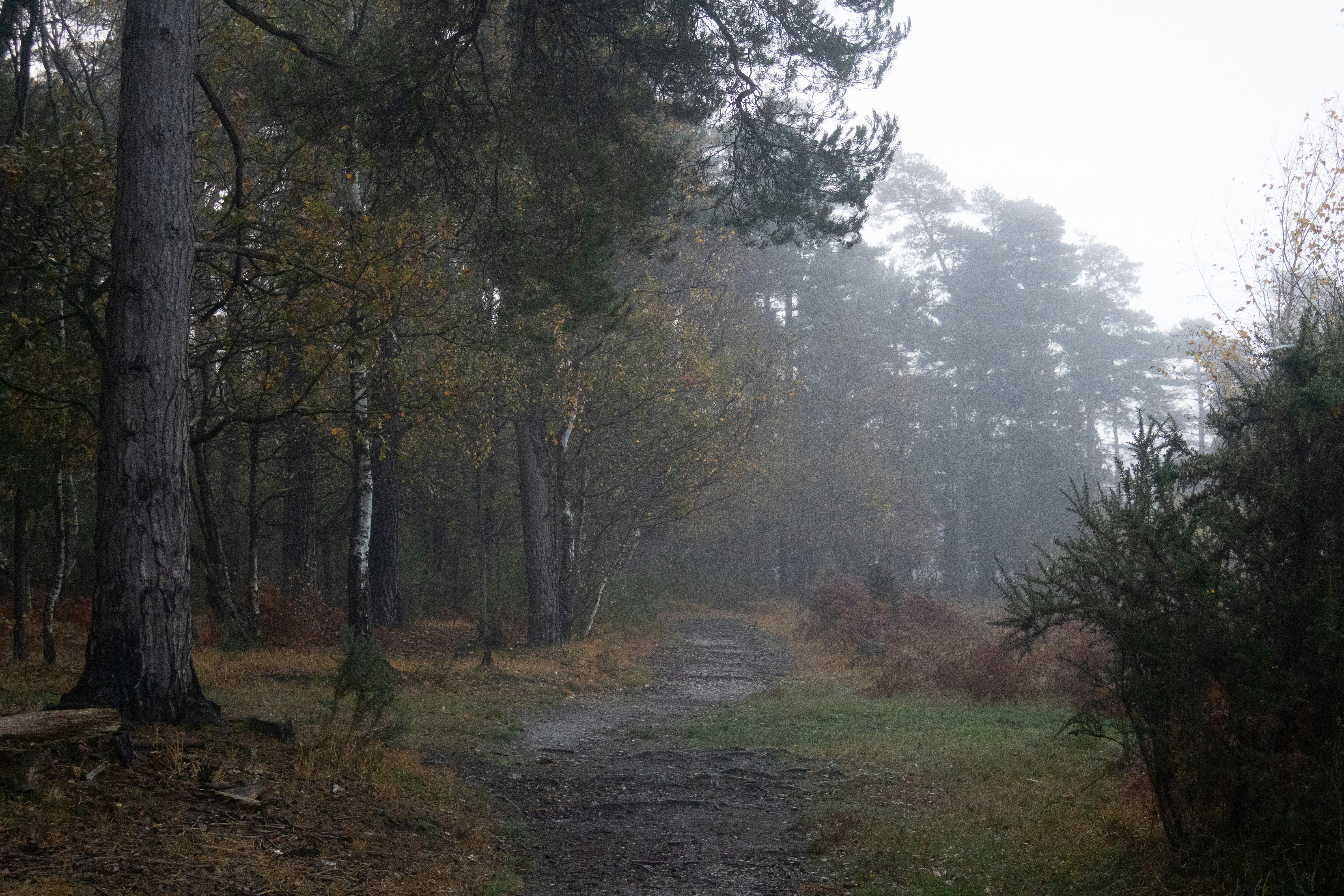 Photo by tanyabarrow