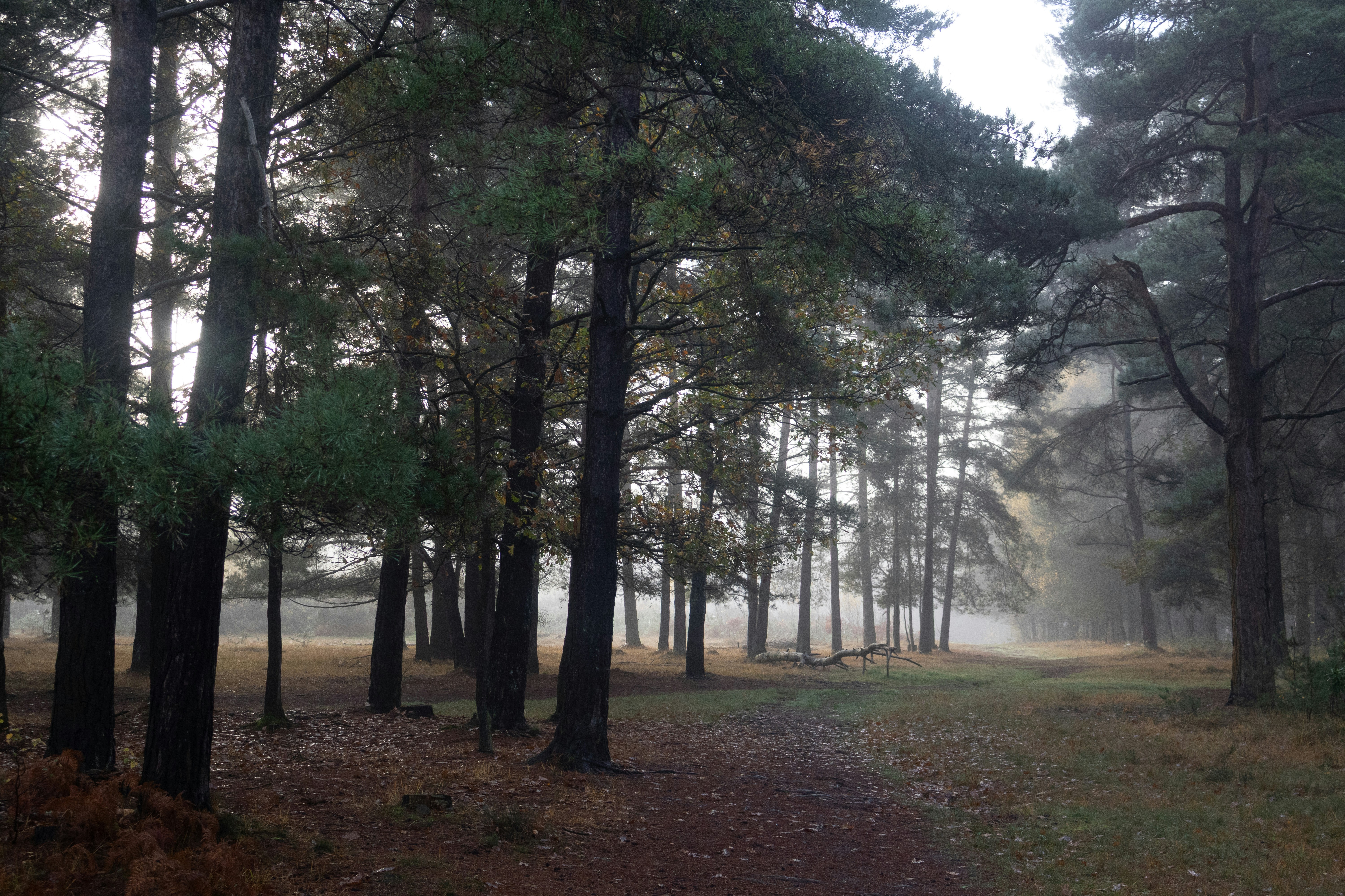 Photo by tanyabarrow